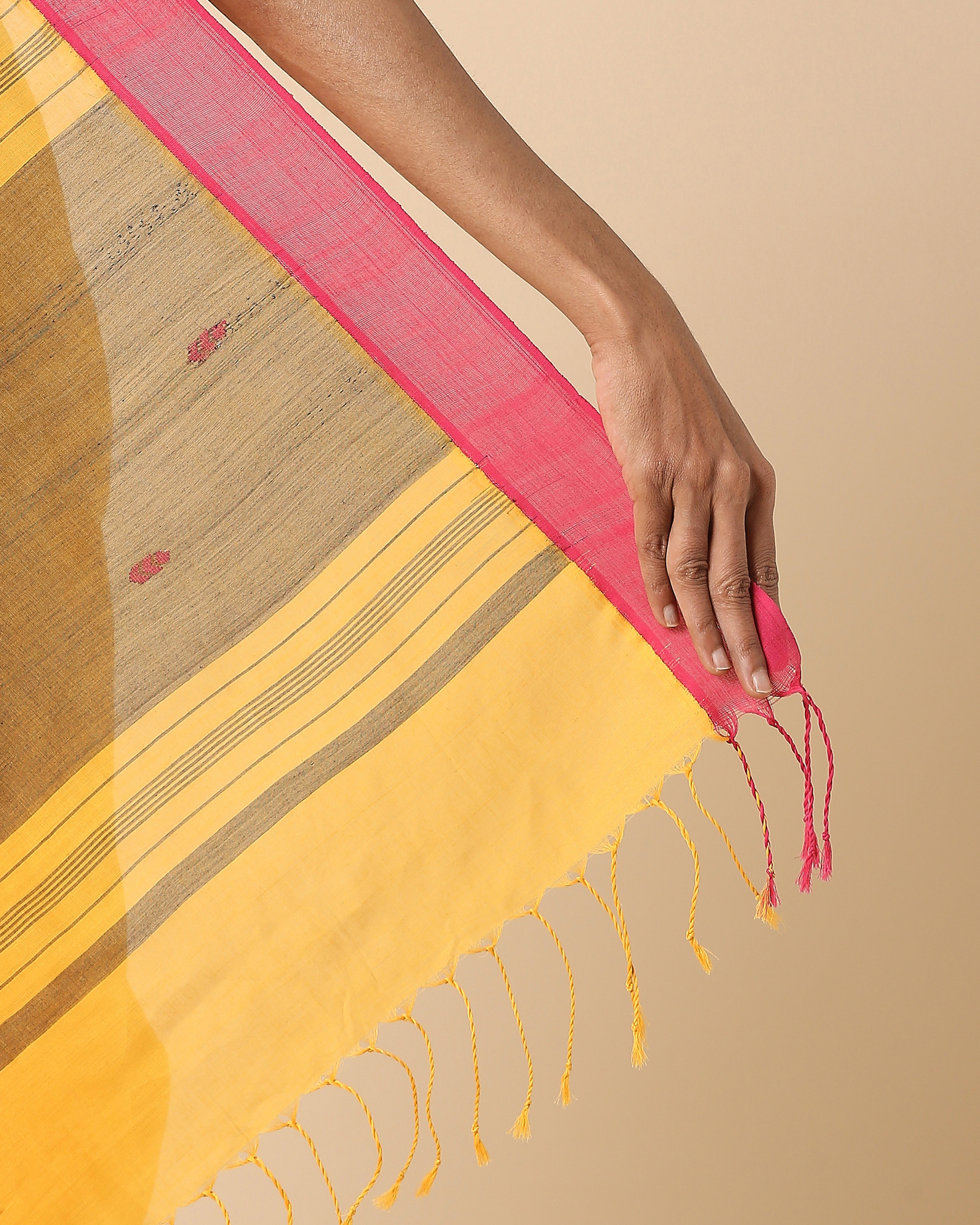 Chaitra Angara Jala Cotton Saree