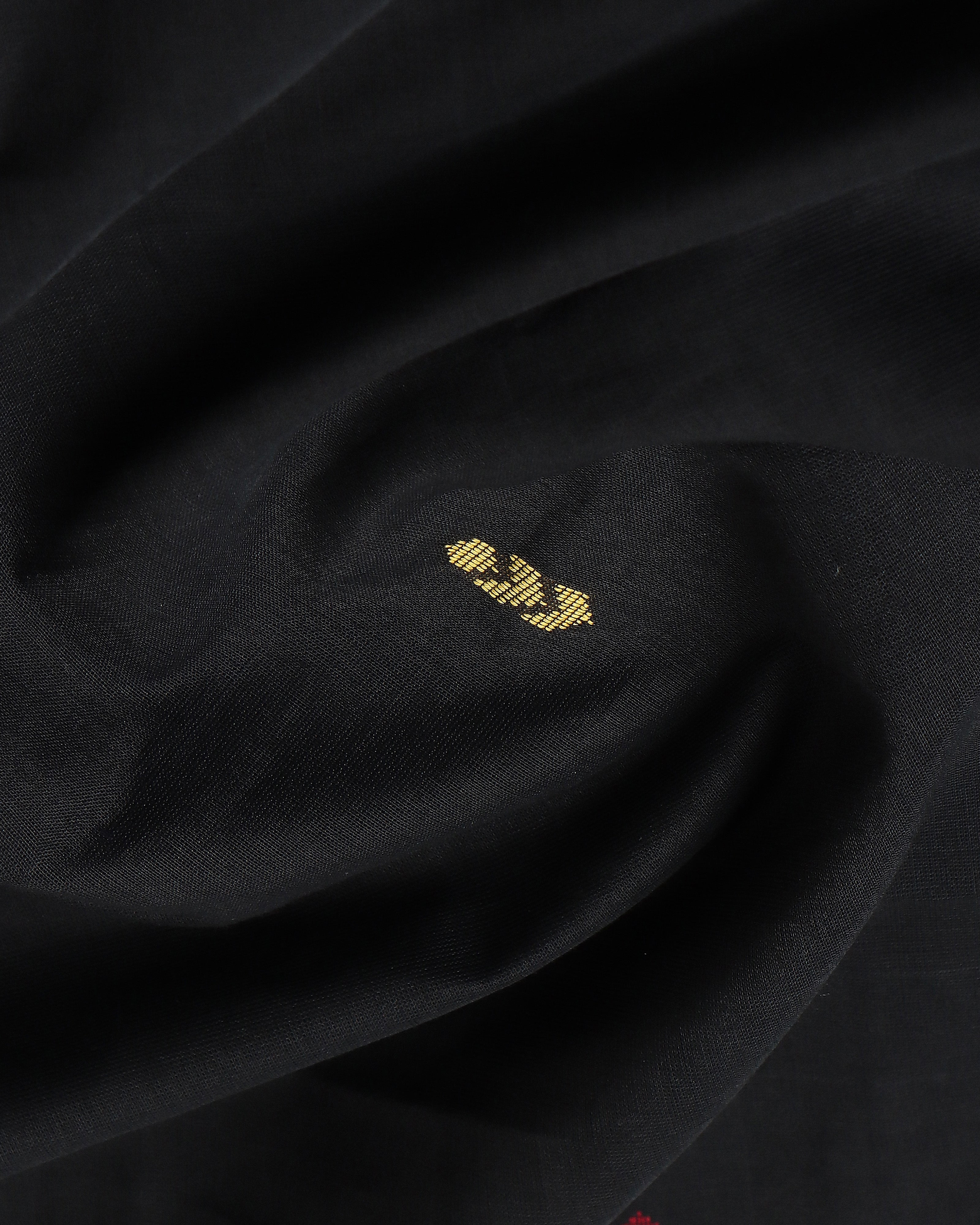Chaitra Angara Jala Cotton Saree