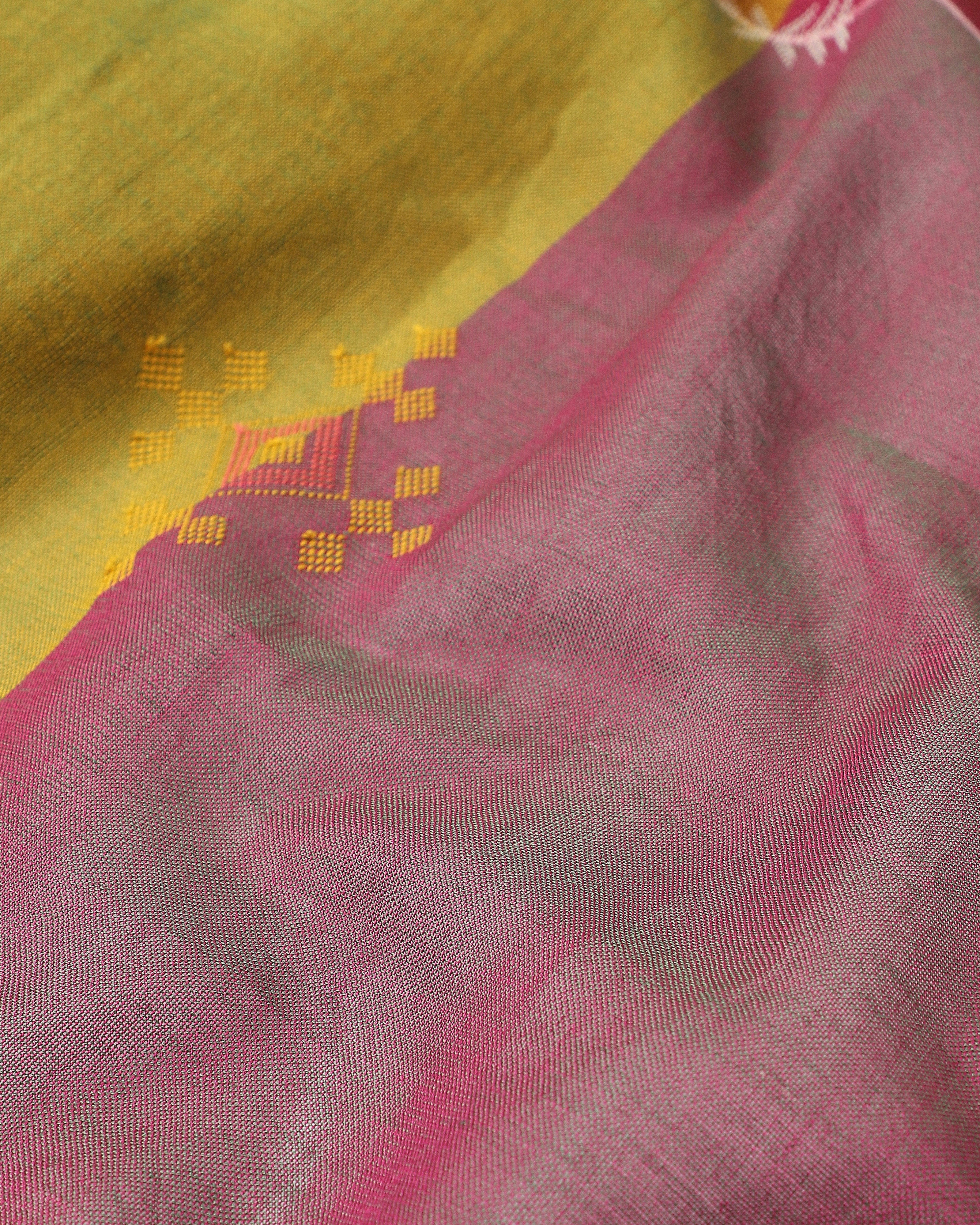 Reina Bhujodi Extra Weft Cotton Saree