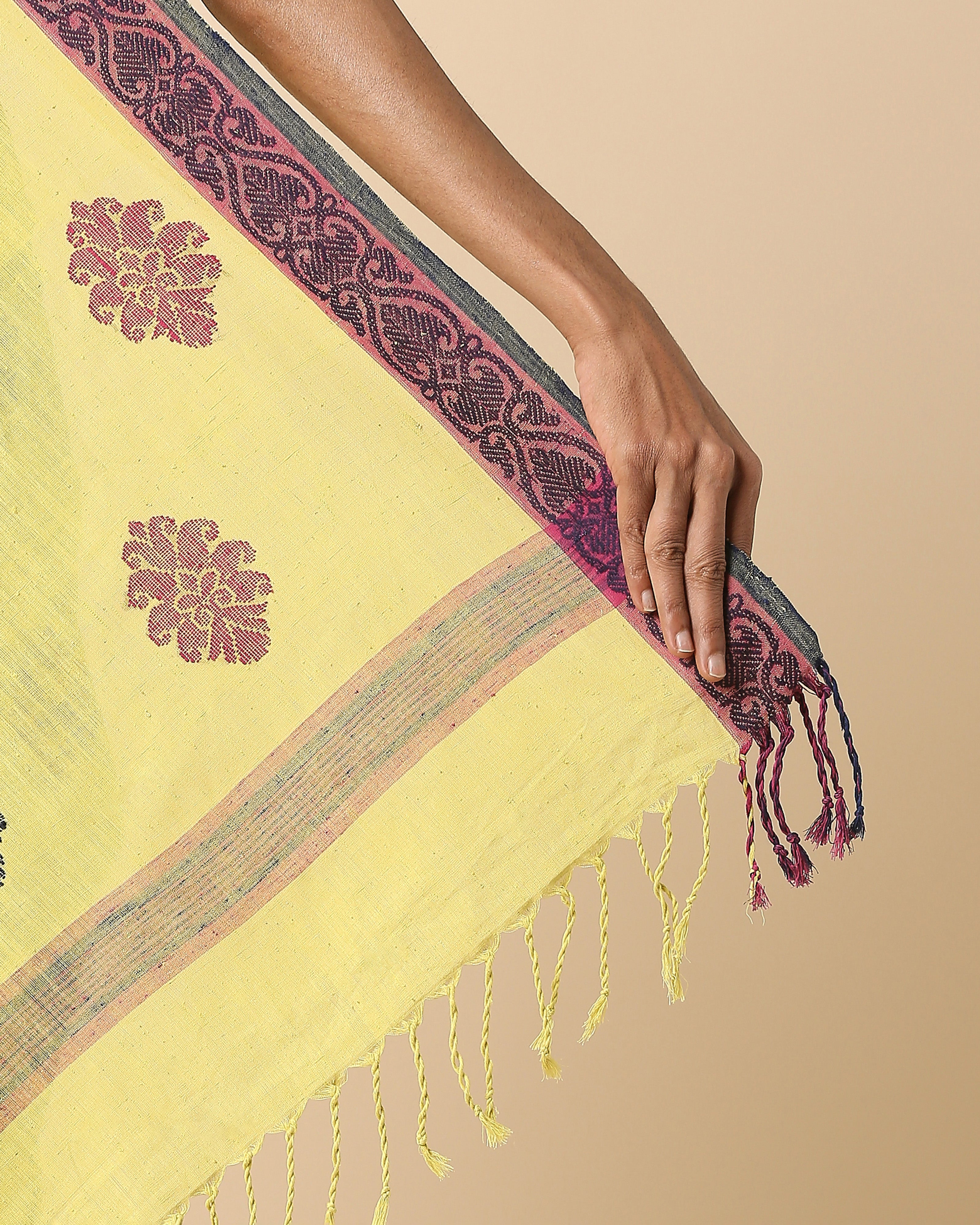 Dhvani Pulagurtha Jacquard Cotton Saree