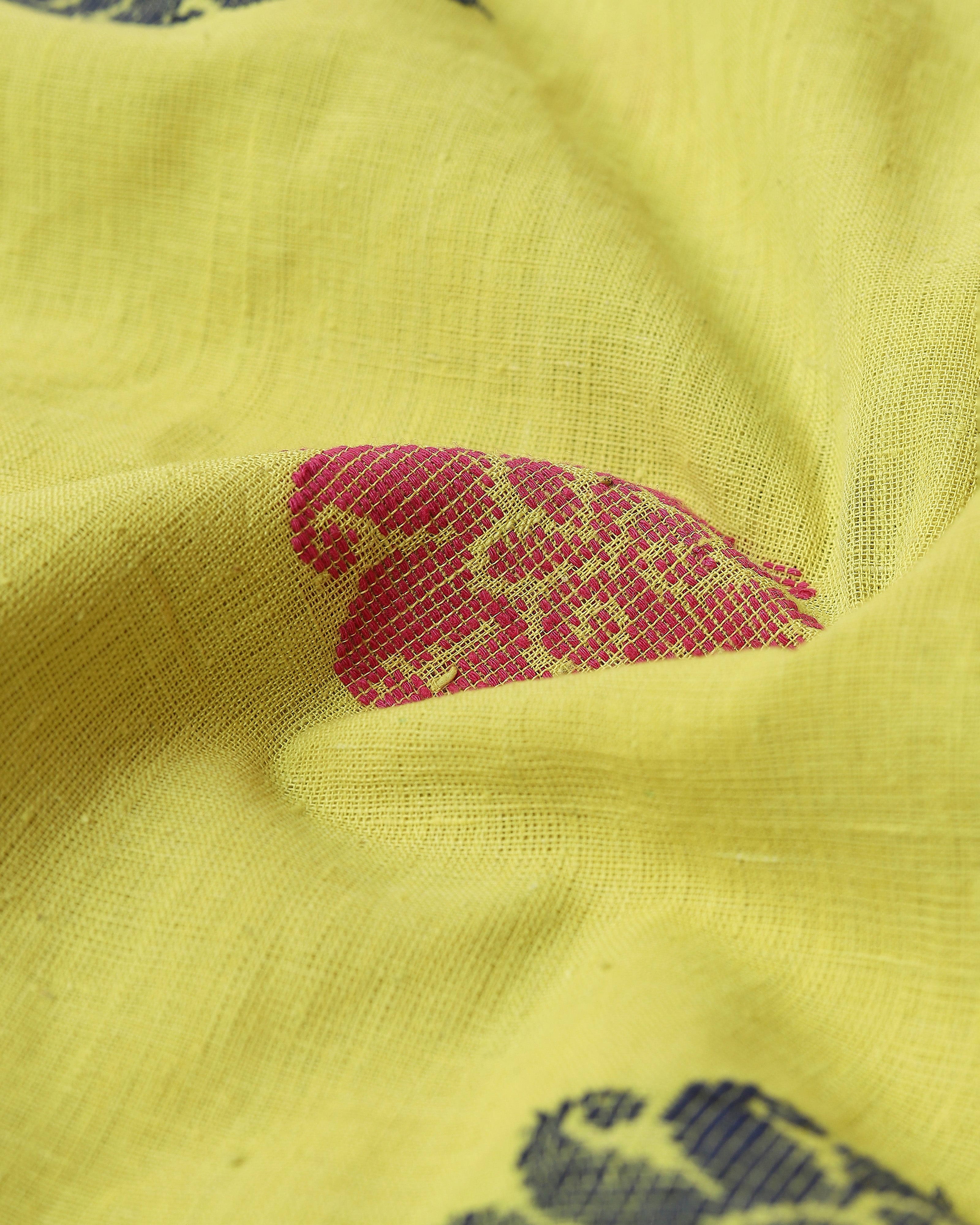 Dhvani Pulagurtha Jacquard Cotton Saree