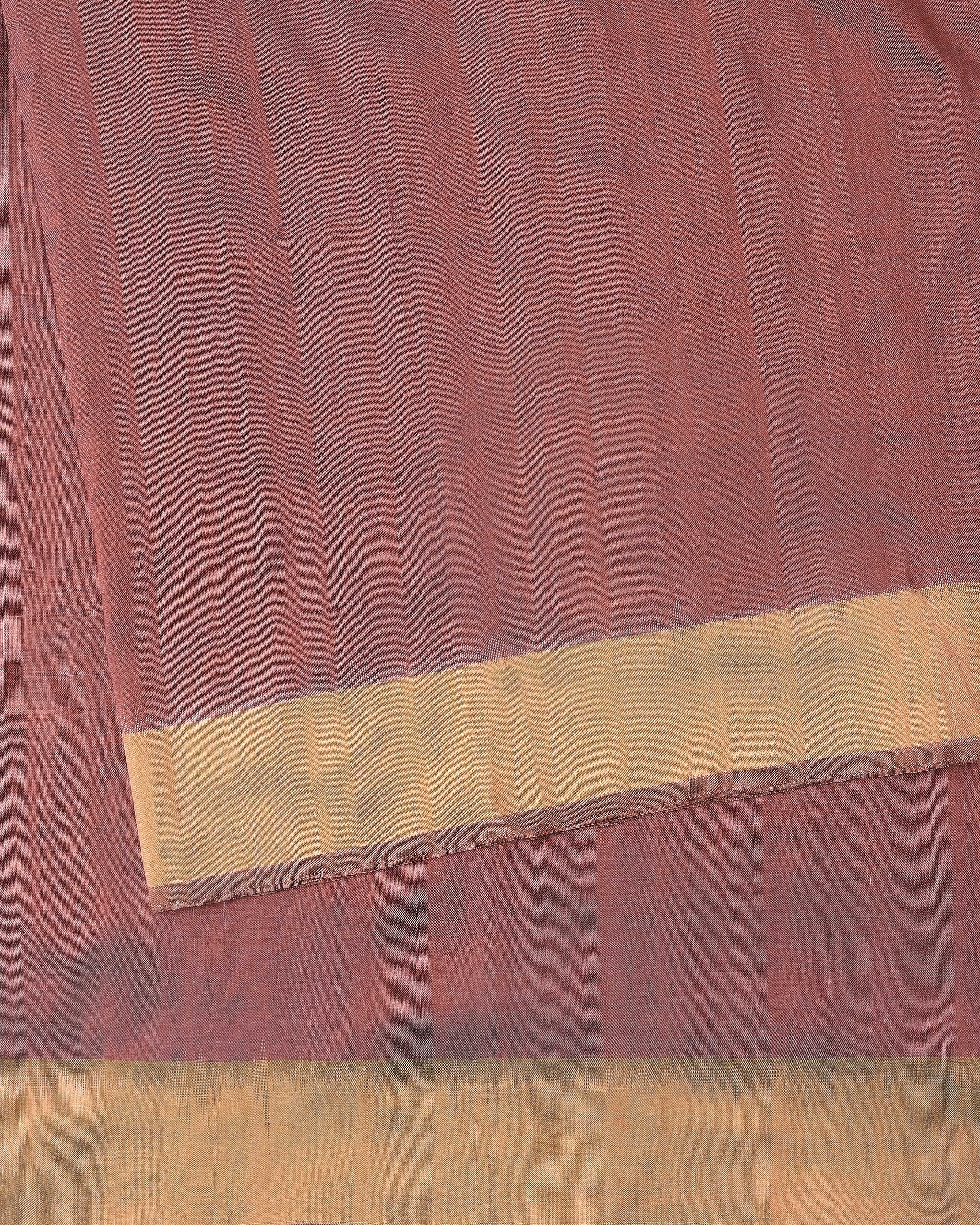 Rio Pochampally Weft Ikat Cotton Silk Saree