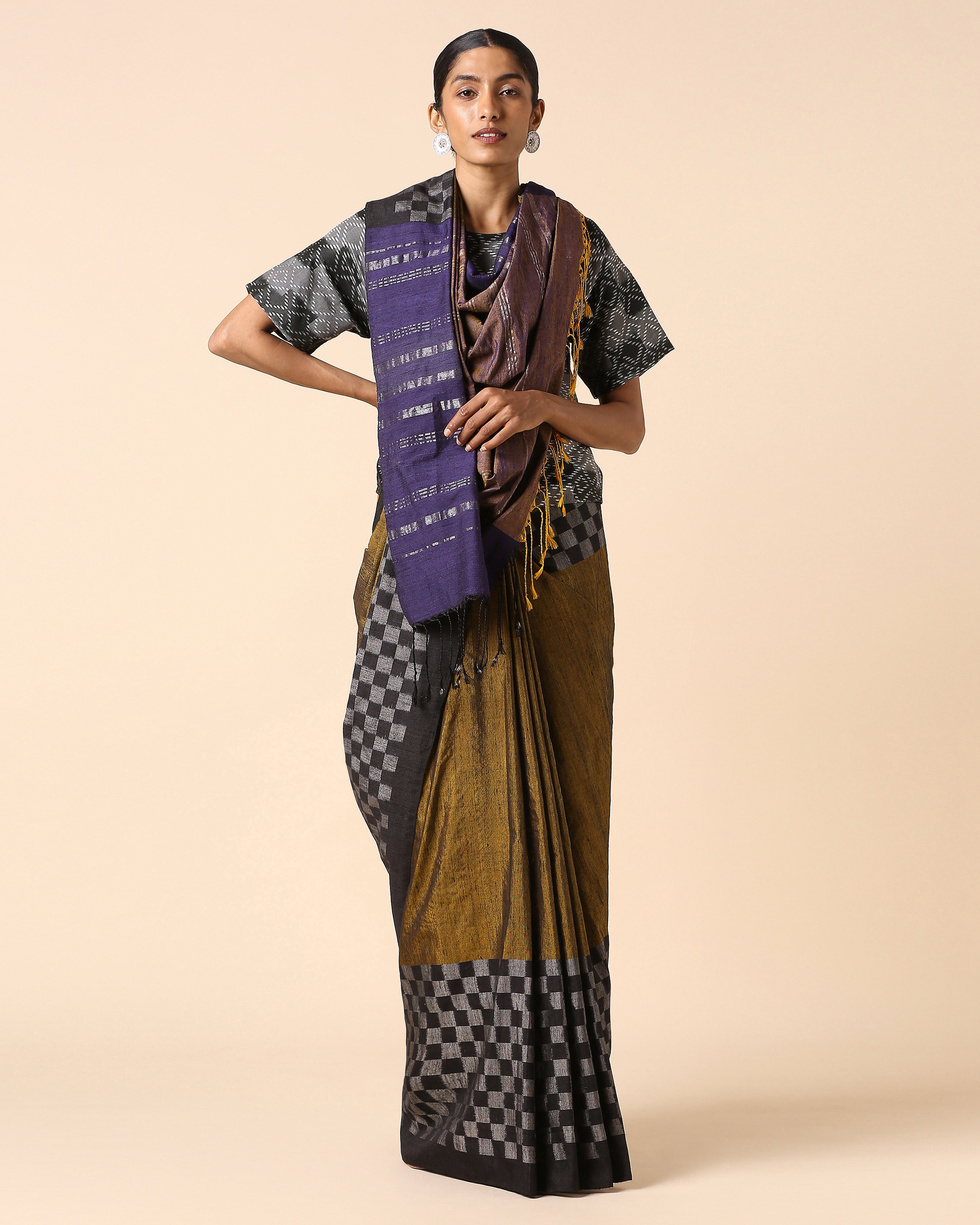 Raaga Pochampally Warp Ikat Silk Saree