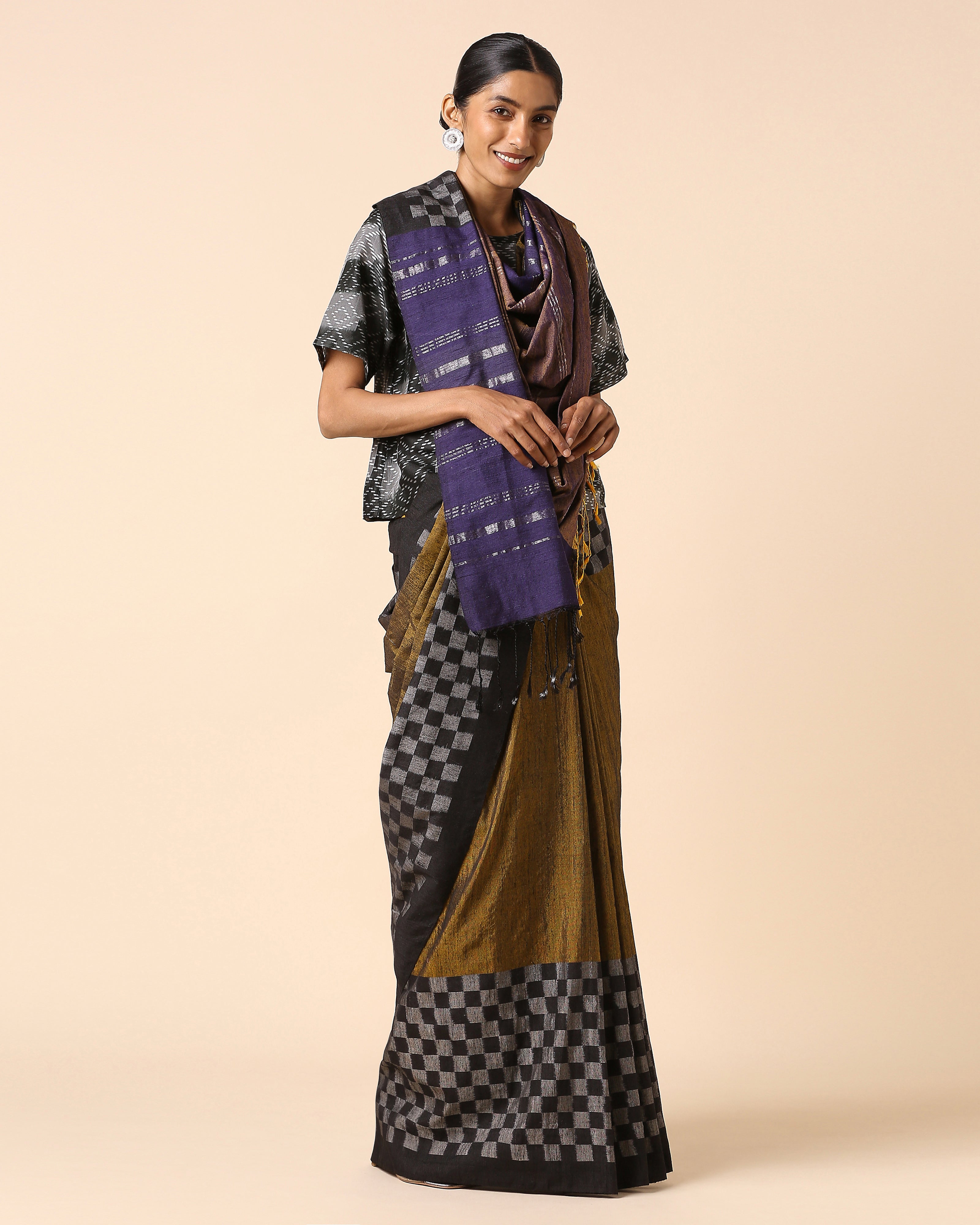 Raaga Pochampally Warp Ikat Silk Saree
