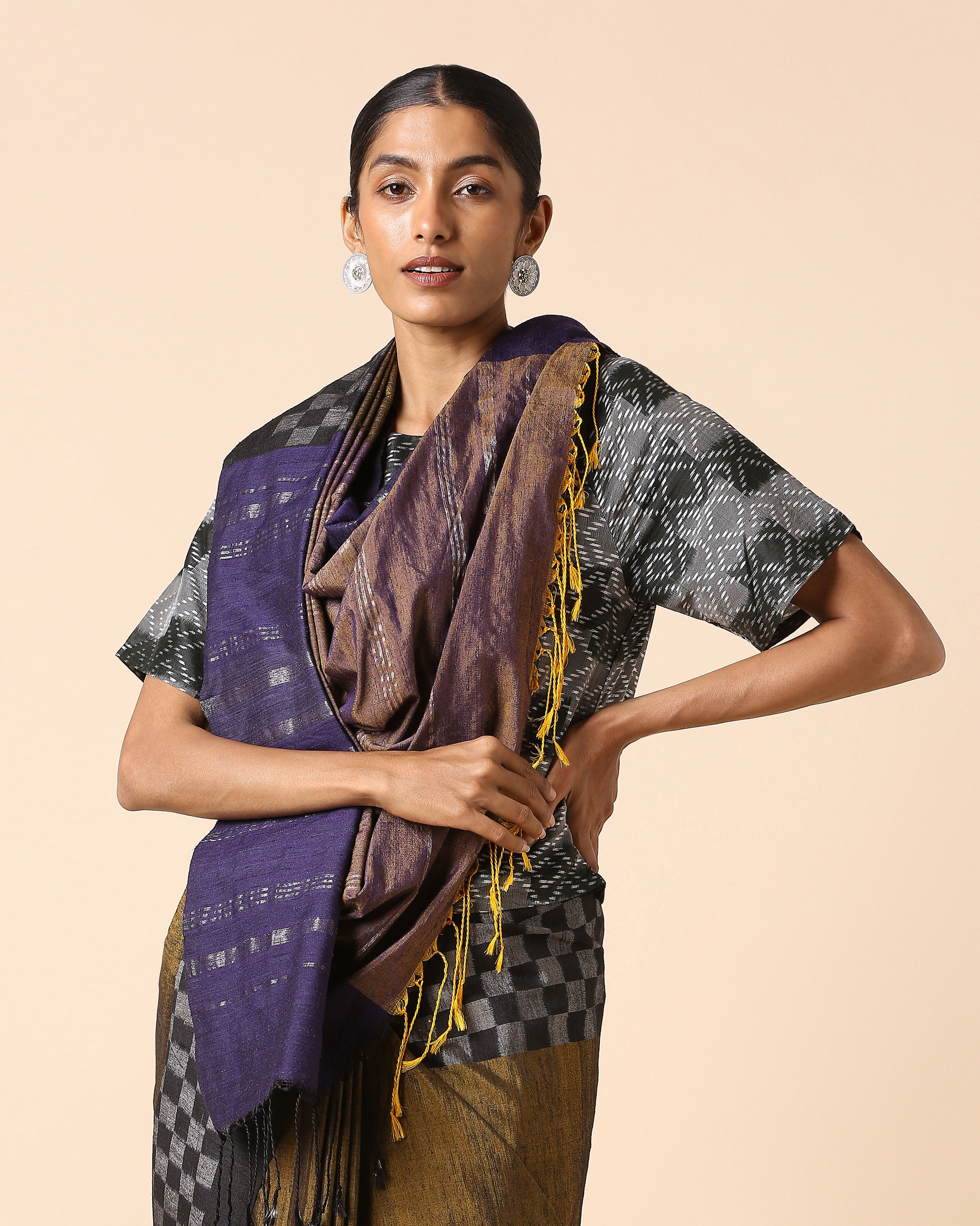 Raaga Pochampally Warp Ikat Silk Saree