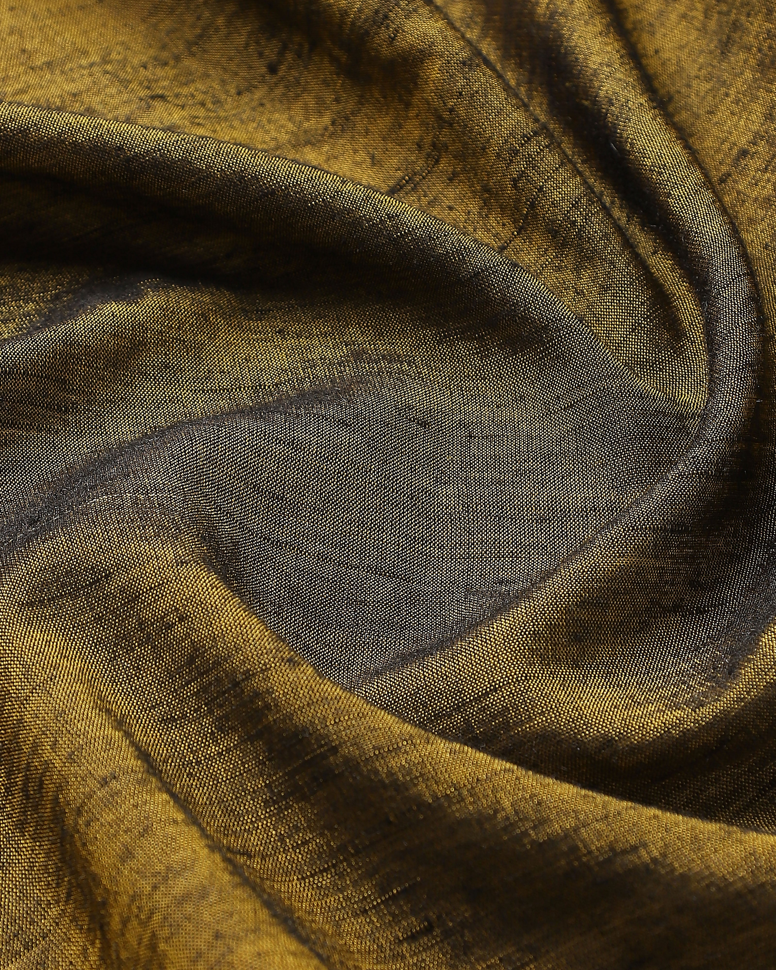 Raaga Pochampally Warp Ikat Silk Saree