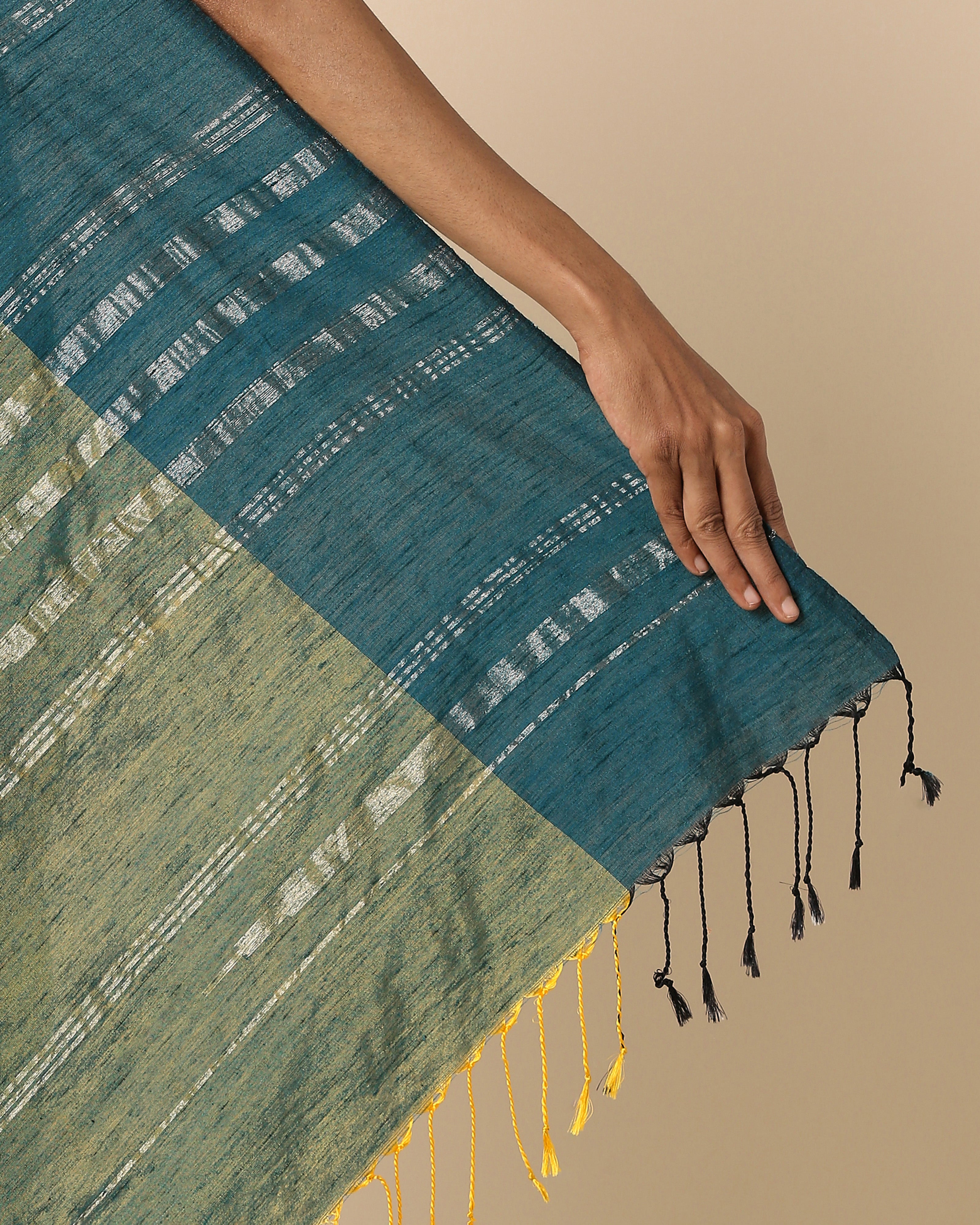 Raaga Pochampally Warp Ikat Silk Saree