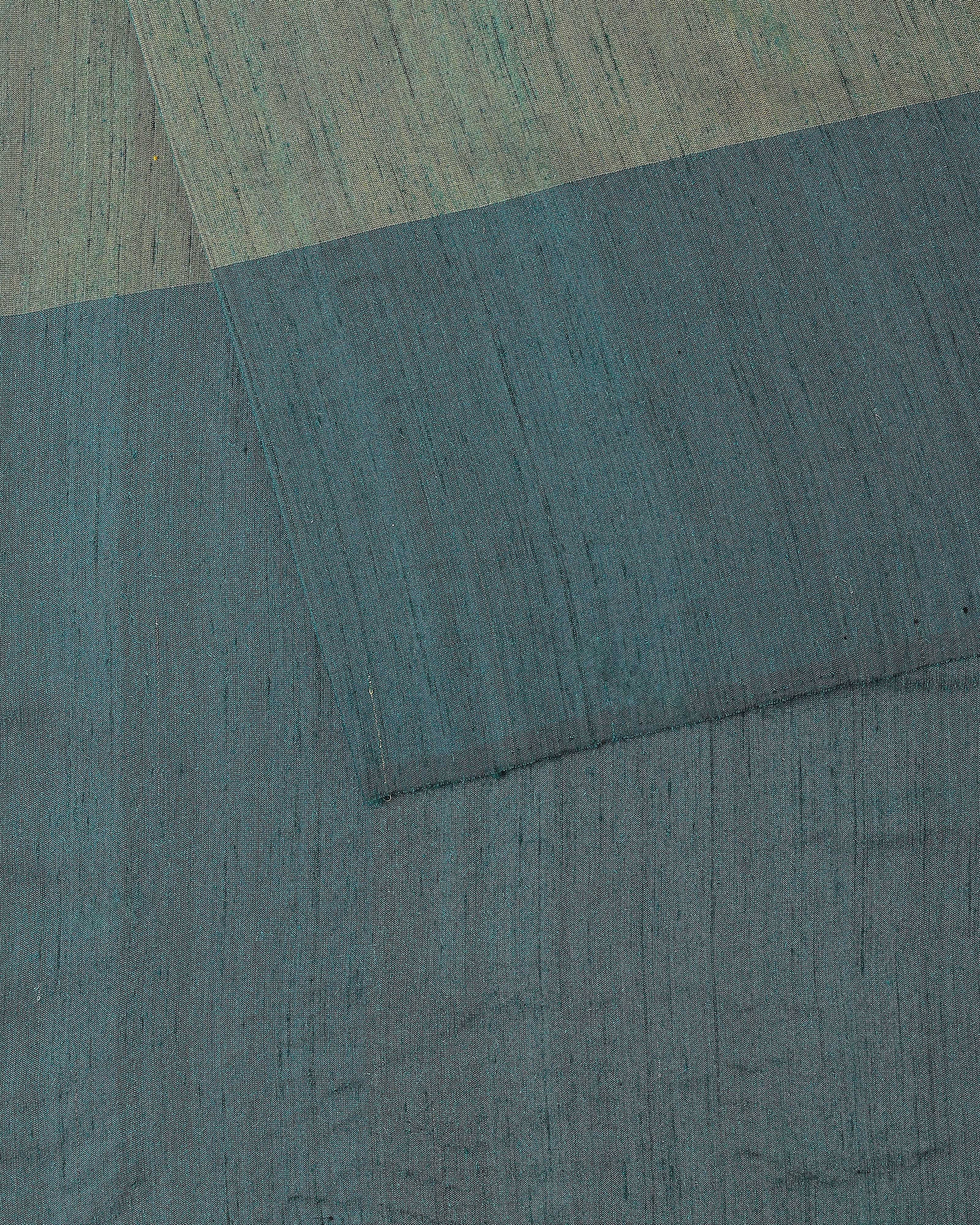 Raaga Pochampally Warp Ikat Silk Saree