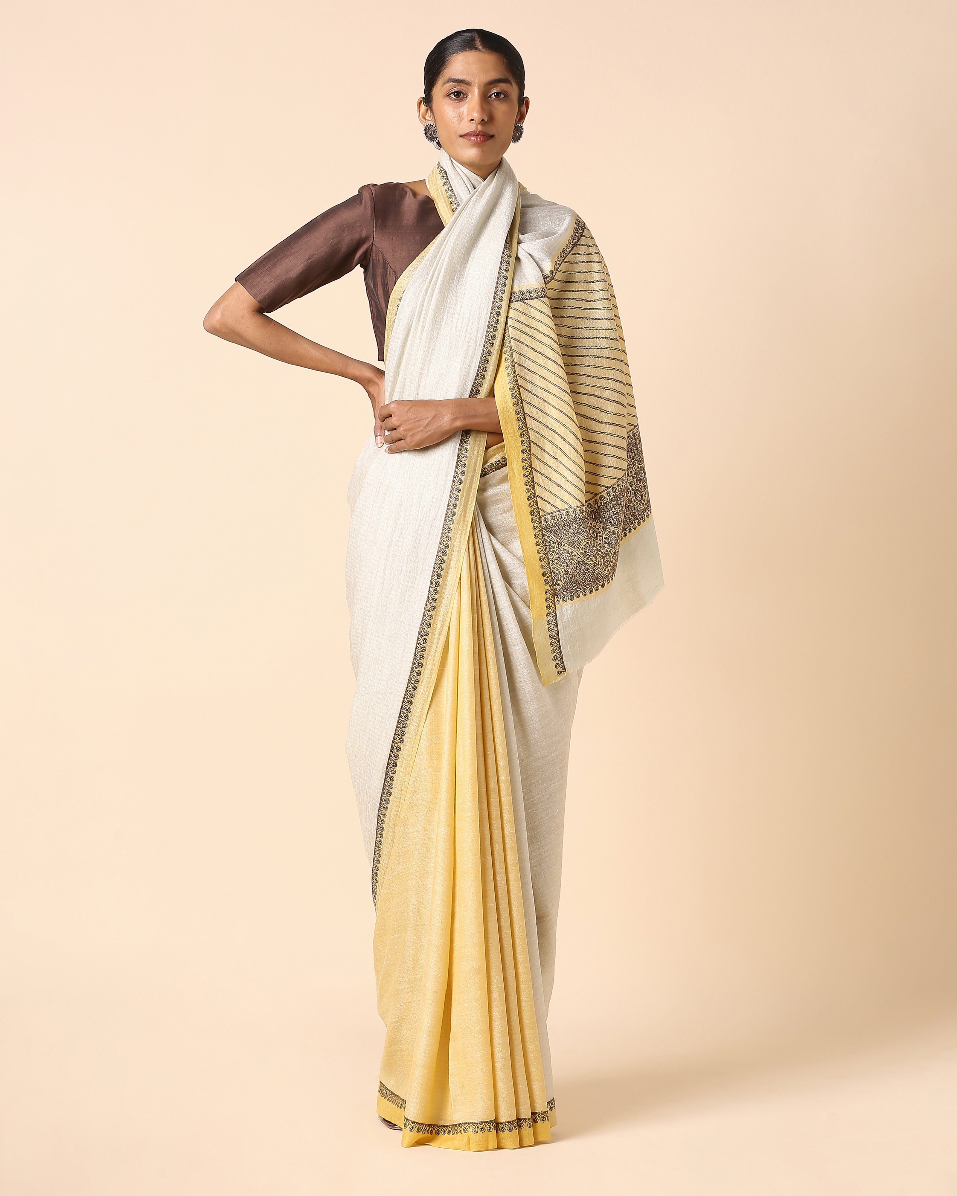 Aishini Kashmir Sozni Embroidery Pashmina Saree