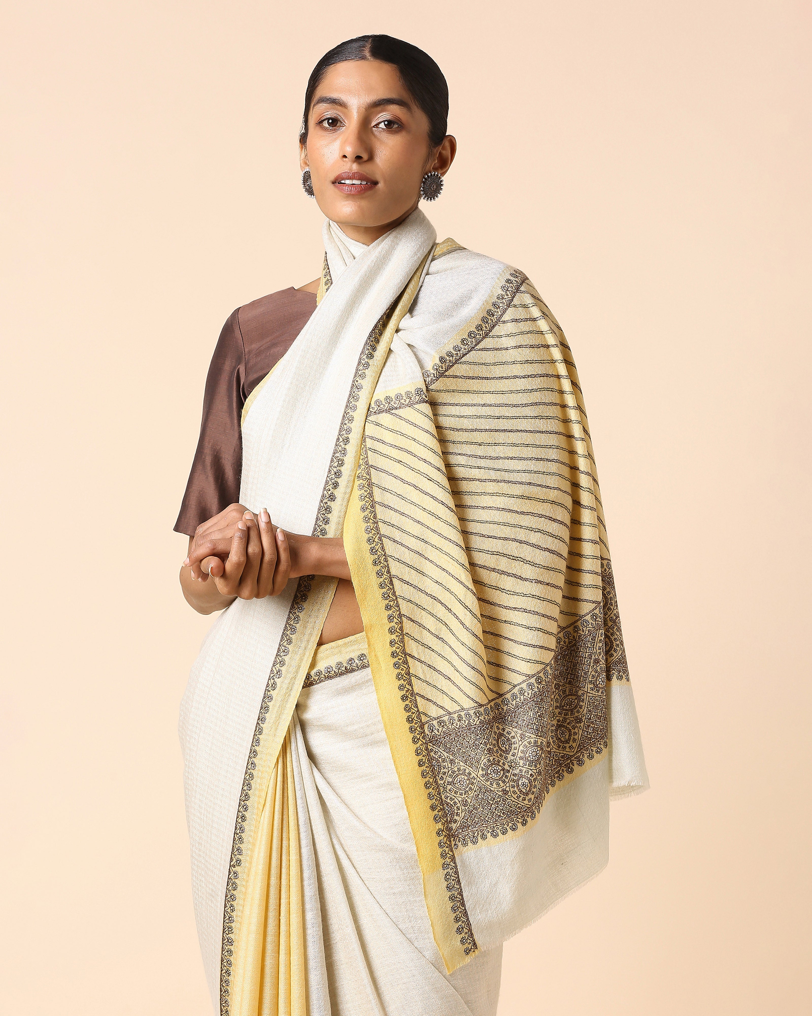 Aishini Kashmir Sozni Embroidery Pashmina Saree