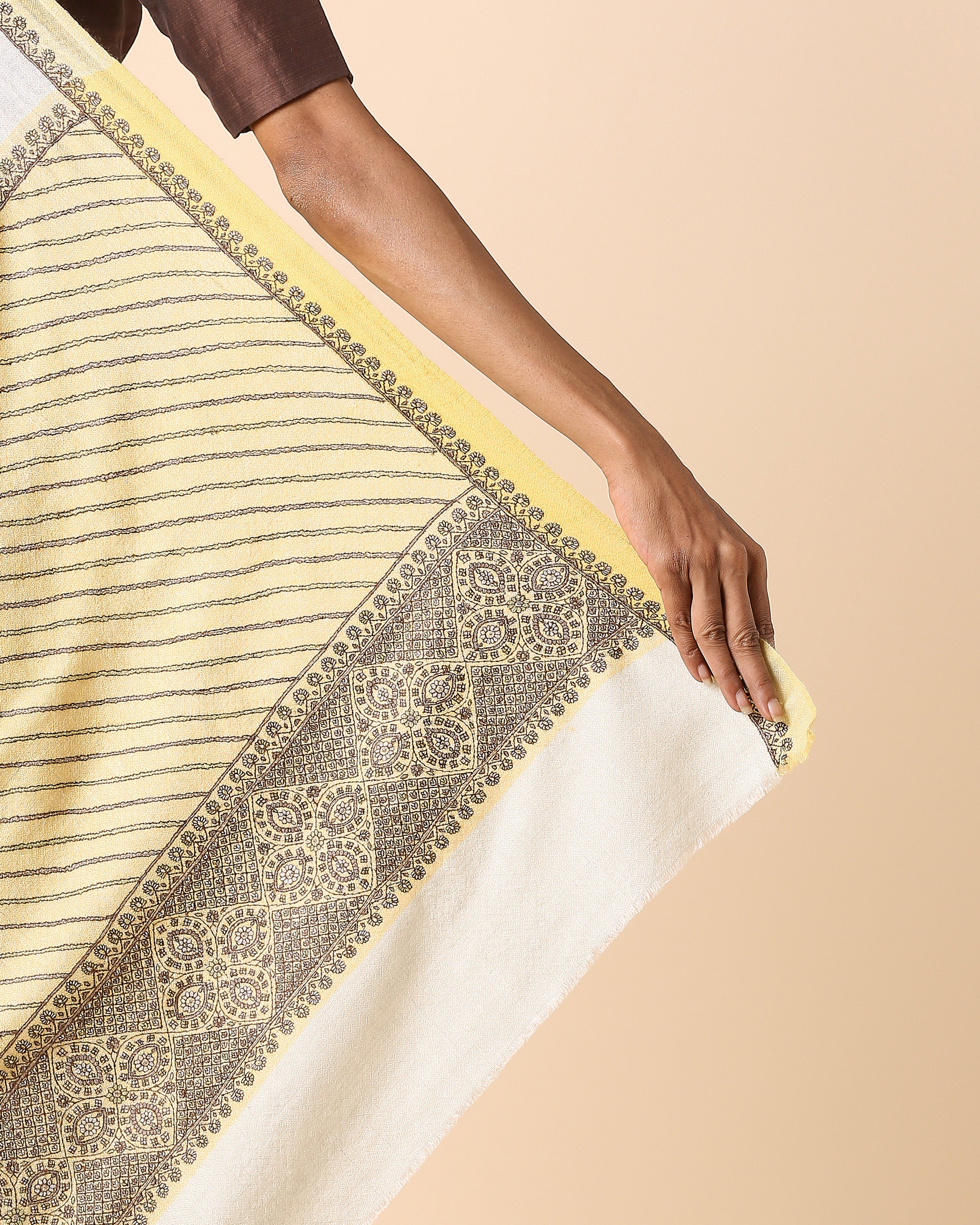 Aishini Kashmir Sozni Embroidery Pashmina Saree