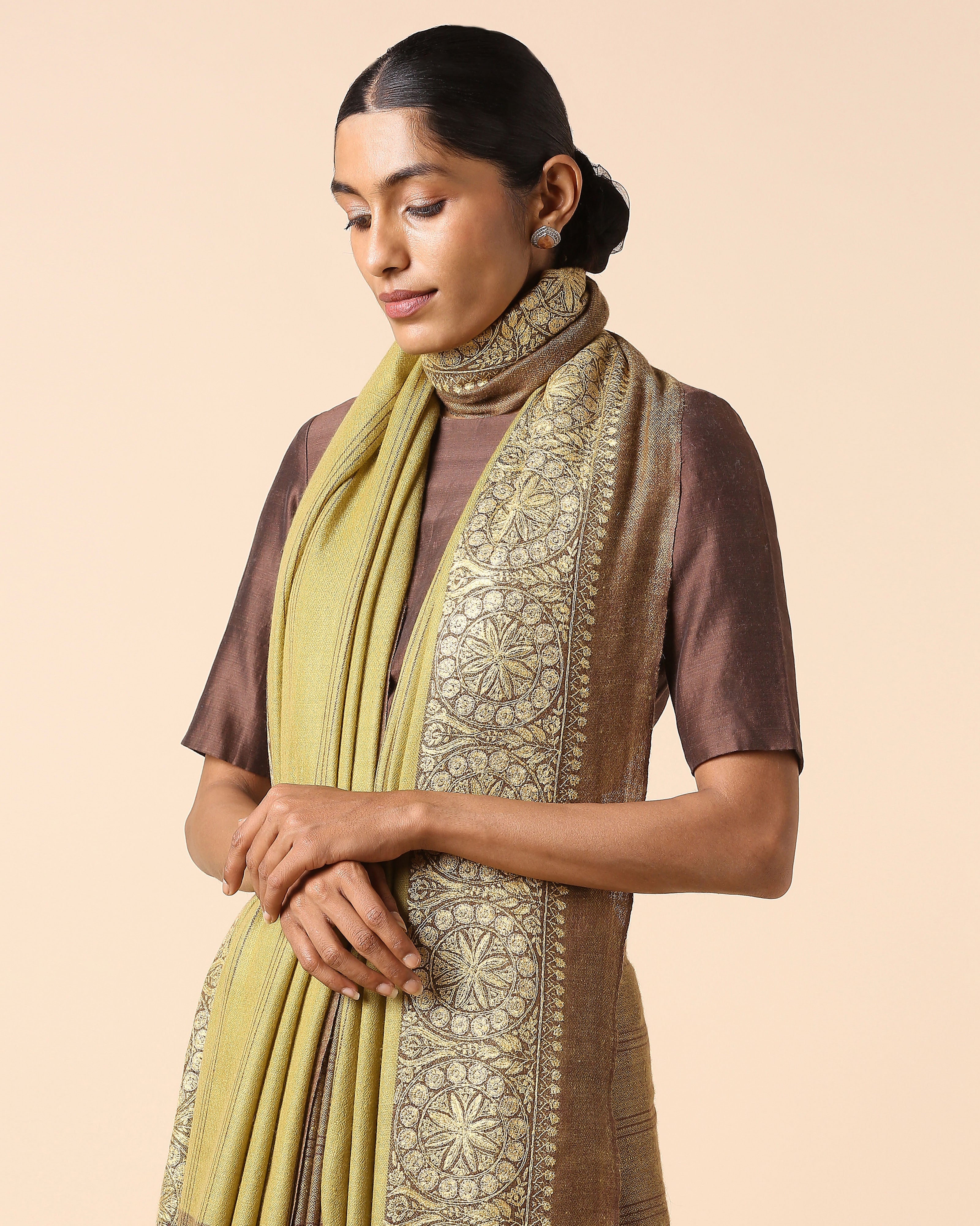 Maitreyi Kashmir Sozni Embroidery Pashmina Saree