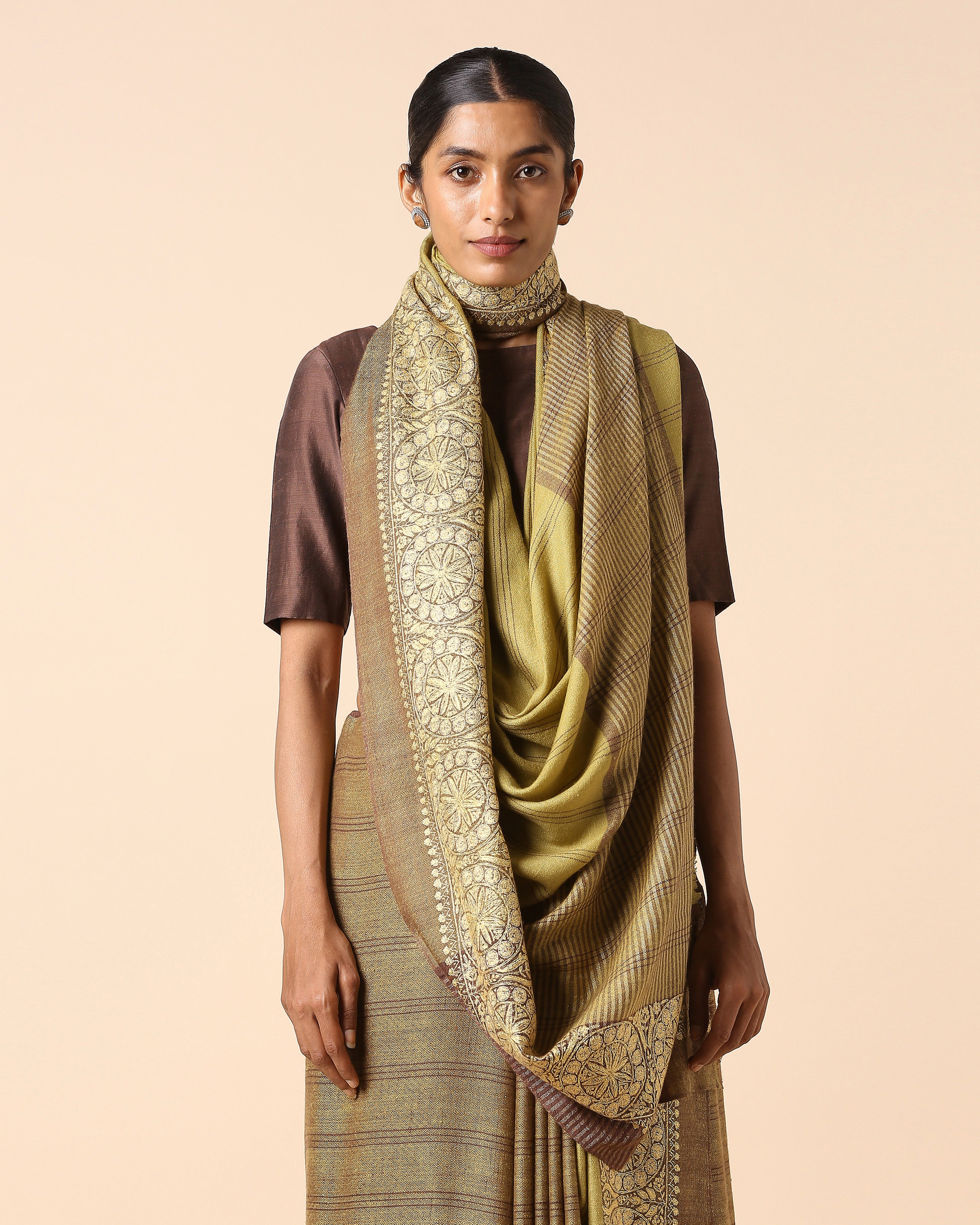 Maitreyi Kashmir Sozni Embroidery Pashmina Saree