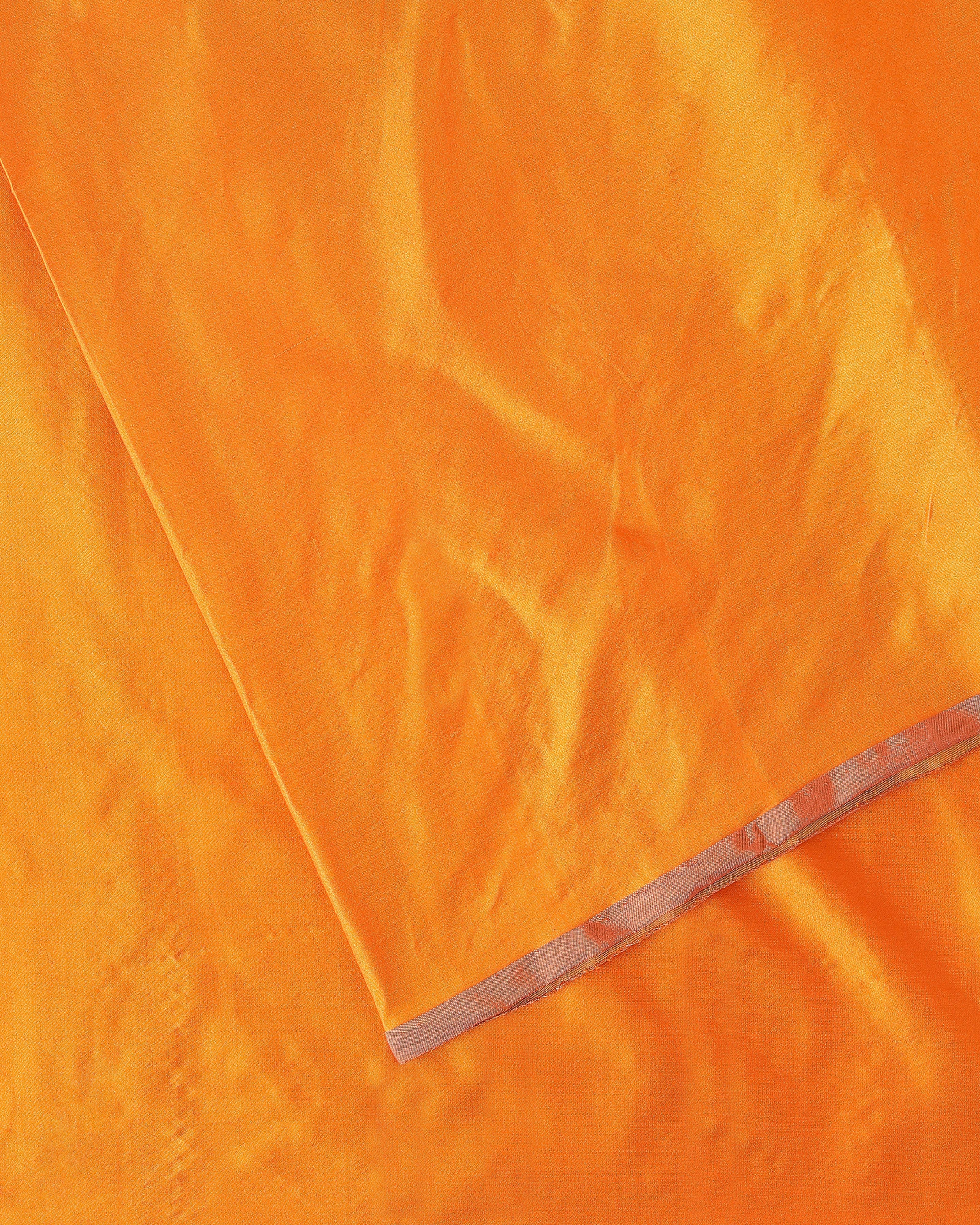 Avnish Banarasi Tanchoi Silk Saree