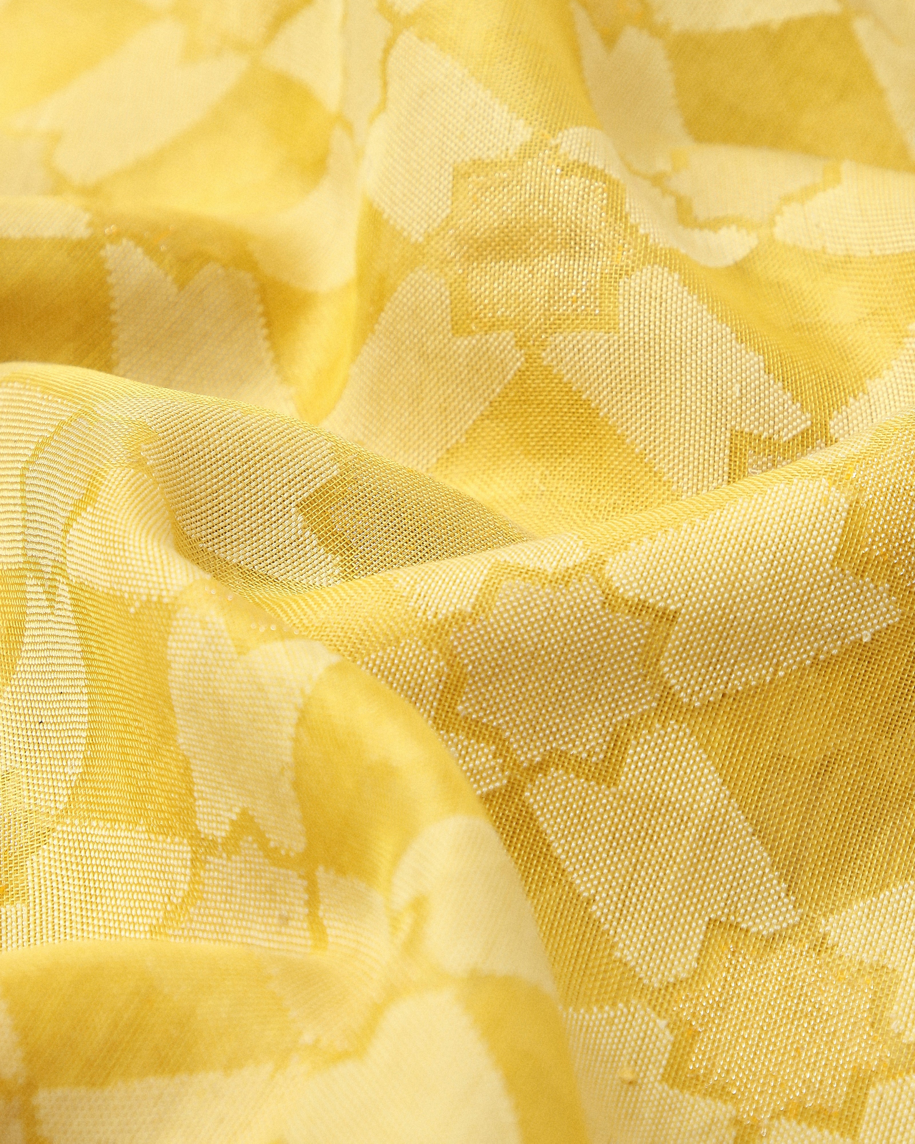 Kaliyah Banarasi Jamdani Silk Cotton Saree
