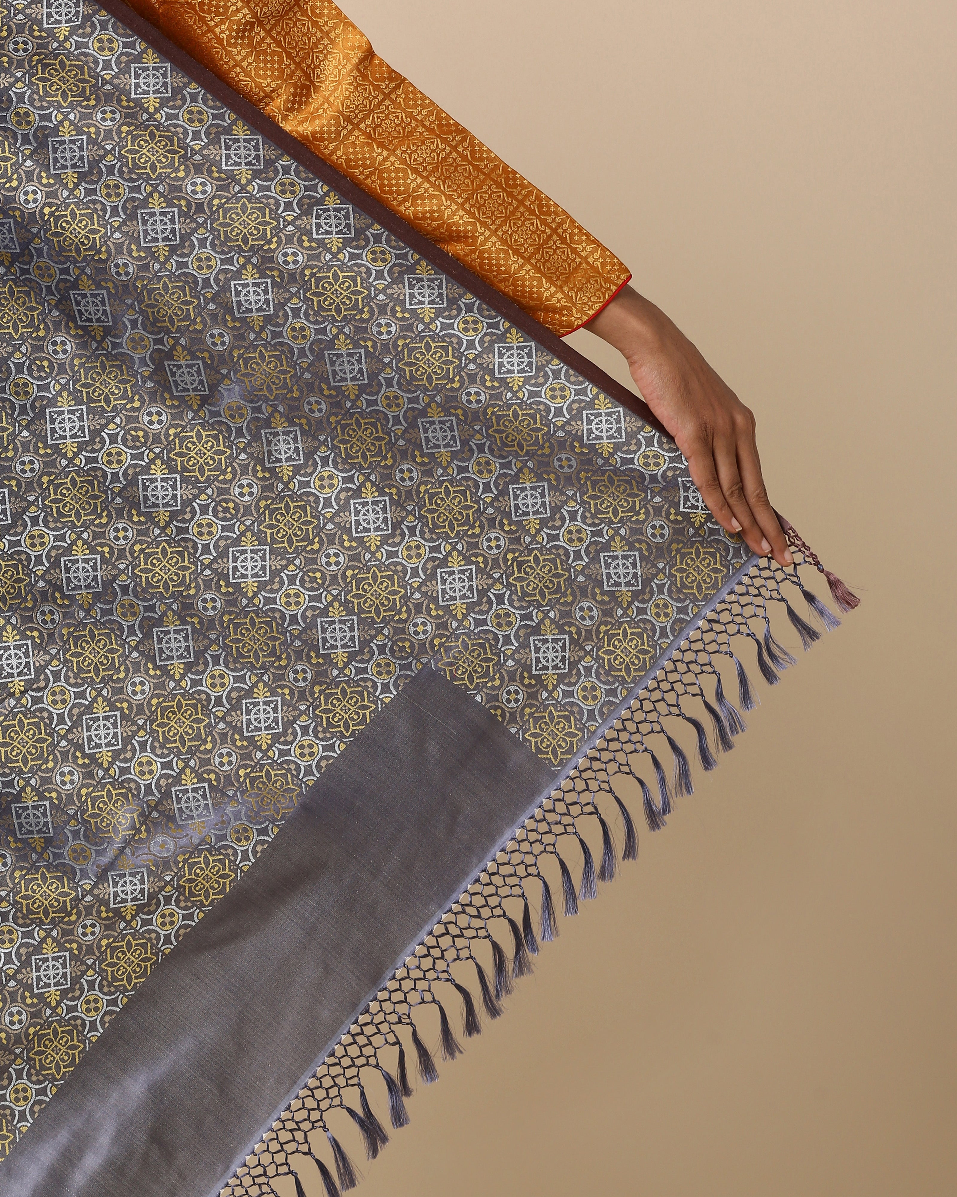 Shoolin Banarasi Tanchoi Silk Saree
