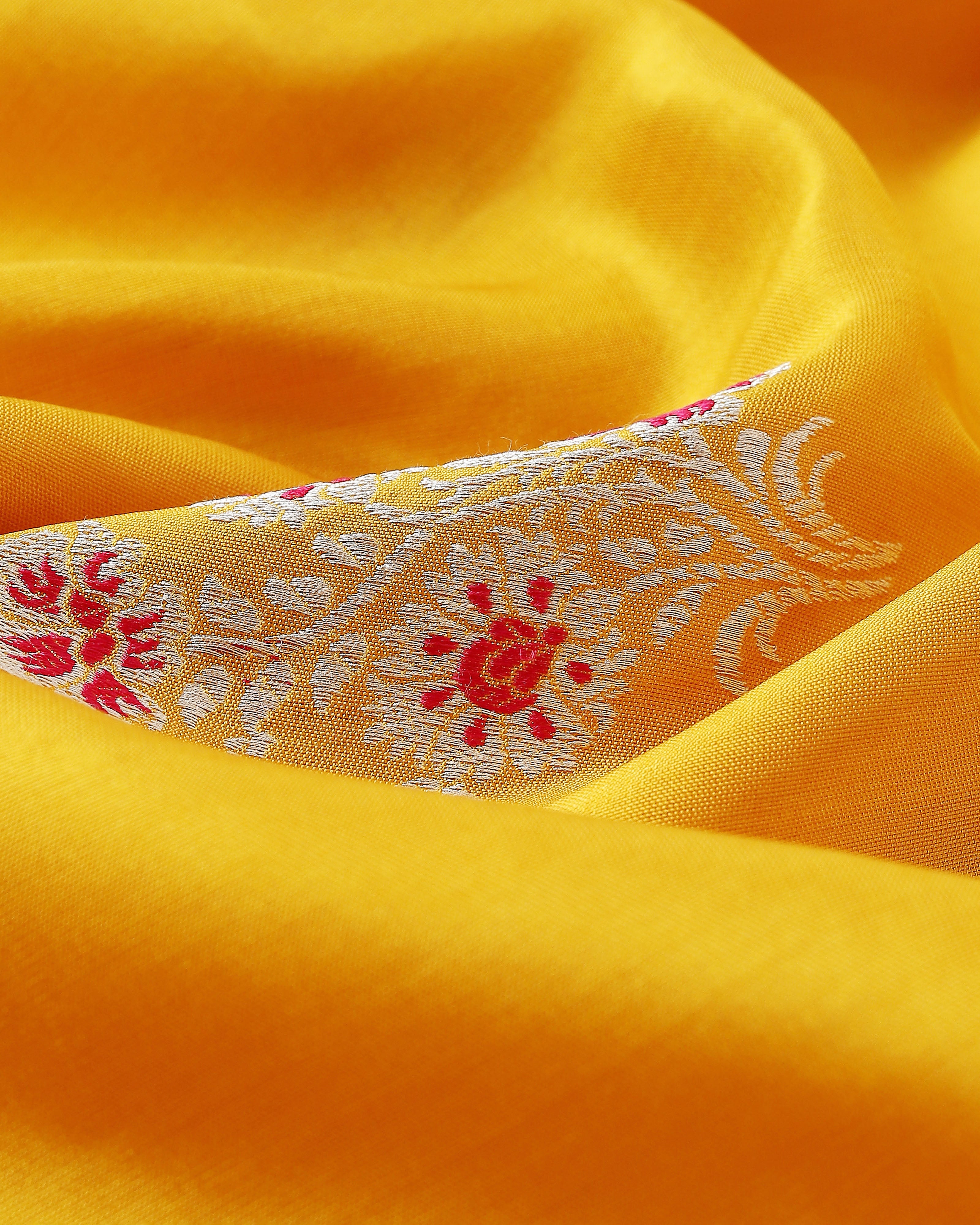 Aniti Banarasi Kadwa Silk Saree