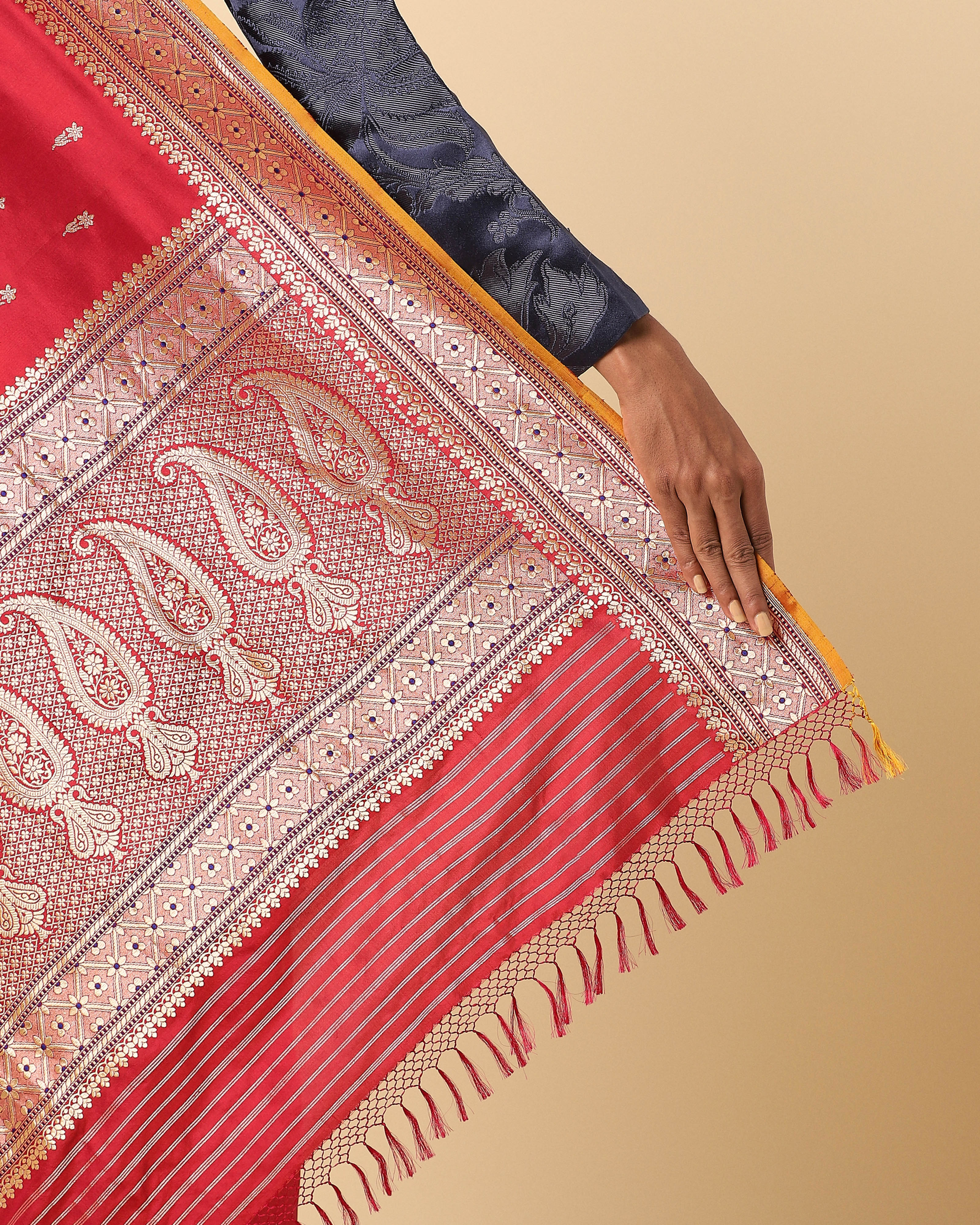 Mina Banarasi Kadwa Silk Saree