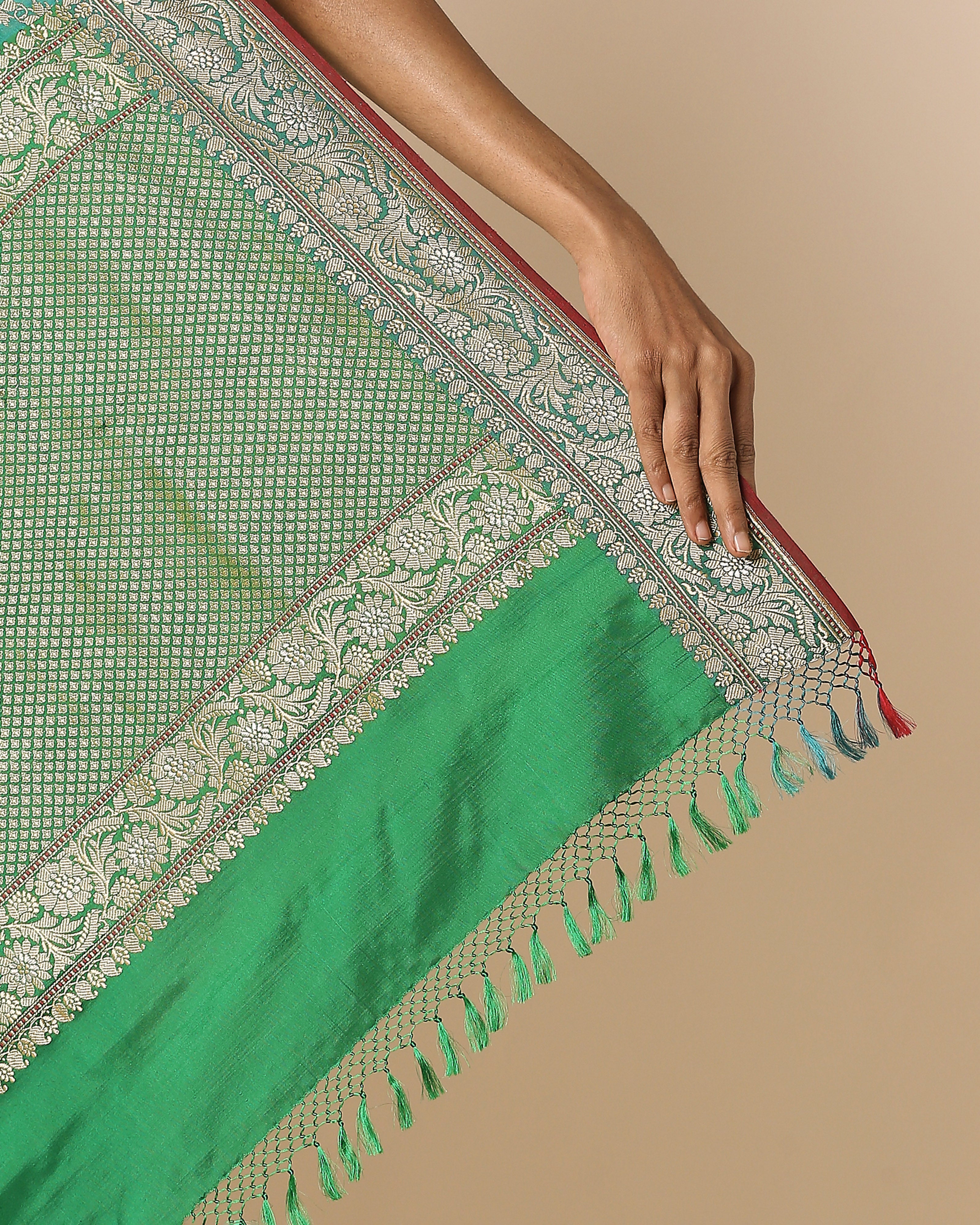 Iyanaa Banarasi Ektara Kadwa Silk Saree