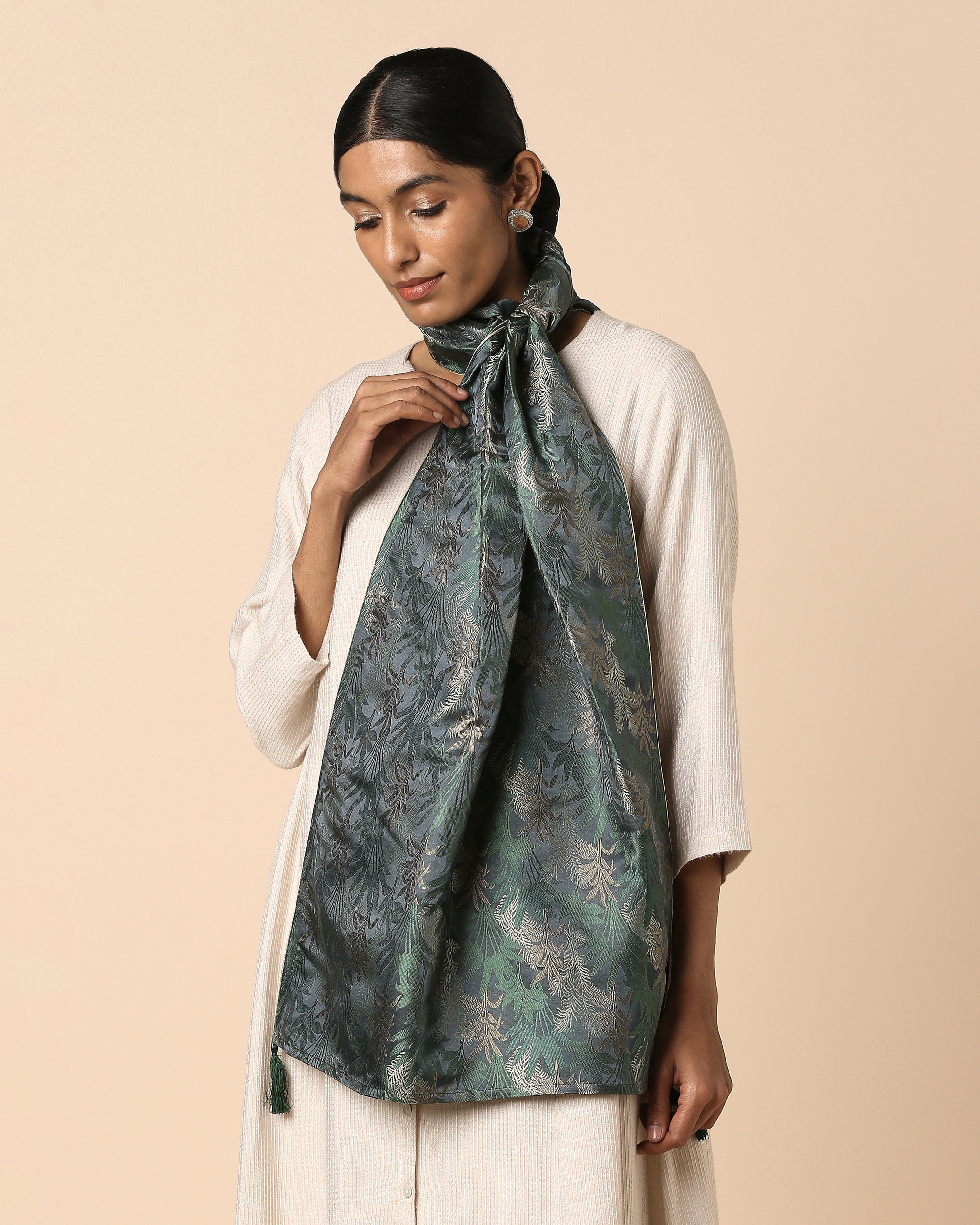 Van Banarasi Tanchoi Silk Stole