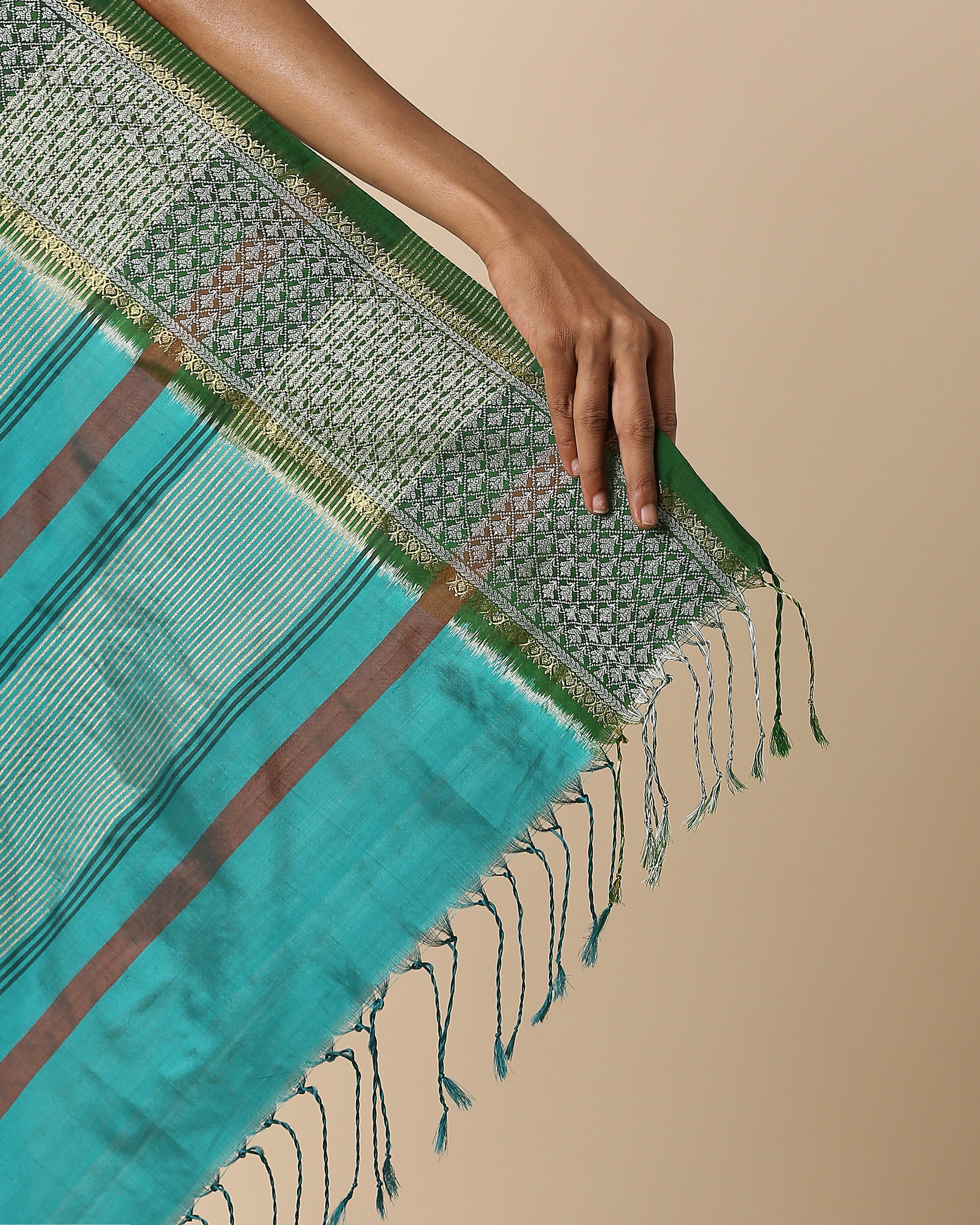 Alina Pochampally Weft Ikat Silk Saree