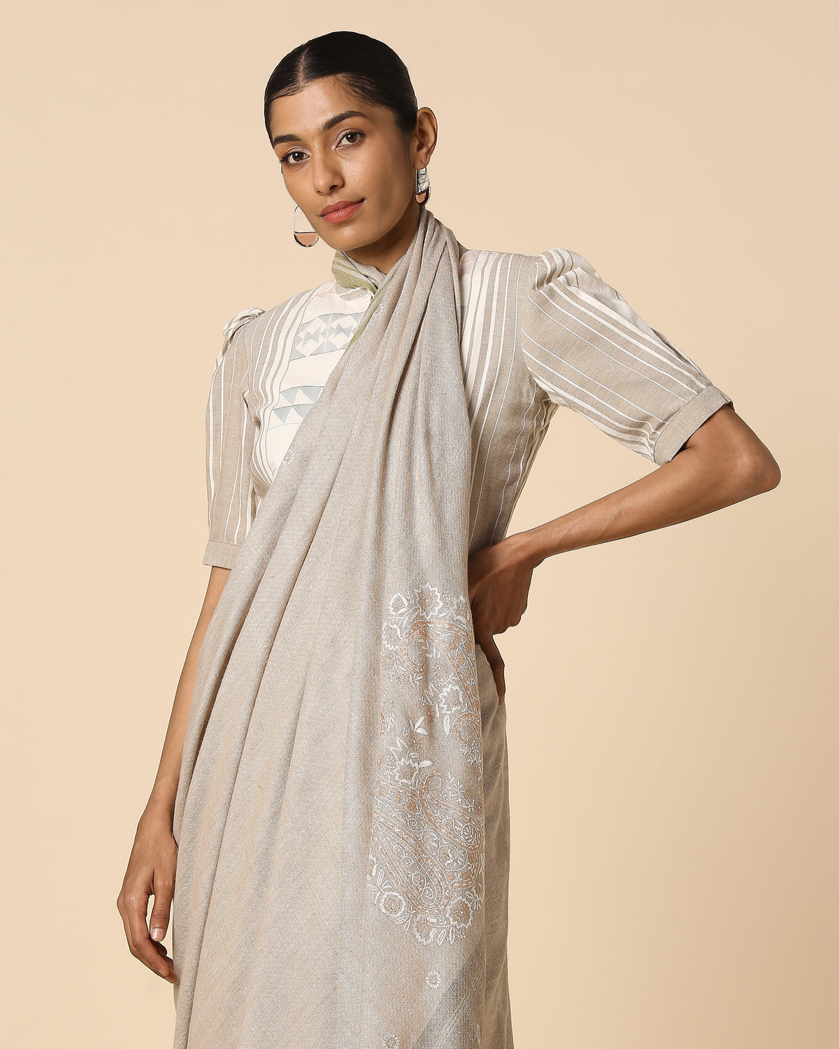 Anabia Kashmir Sozni Embroidery Pashmina Saree