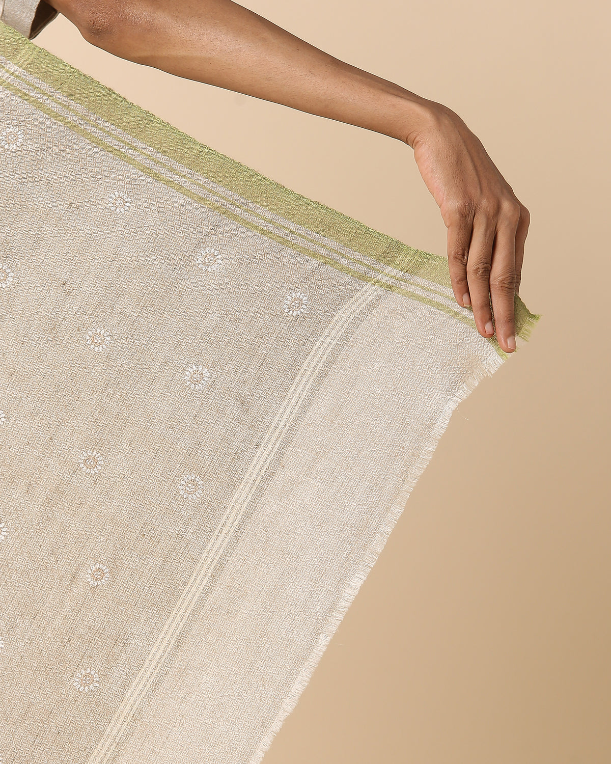 Anabia Kashmir Sozni Embroidery Pashmina Saree