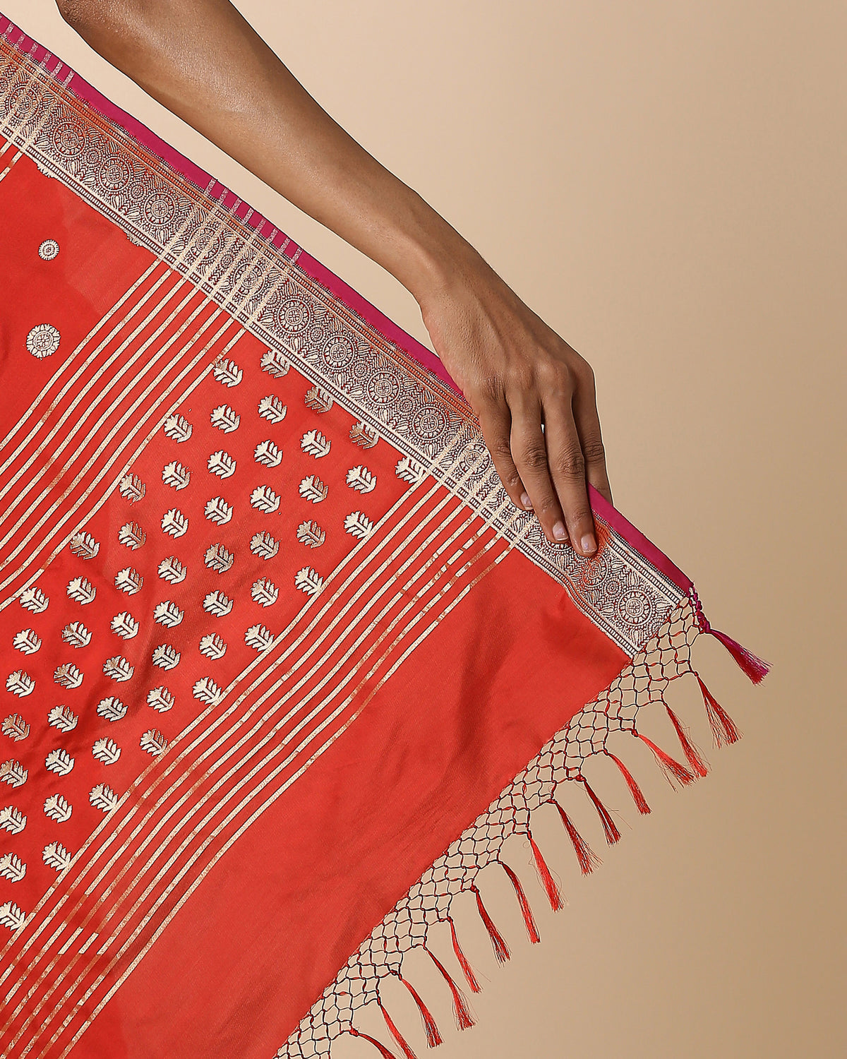 Hilda Banarasi Cutwork Silk Saree