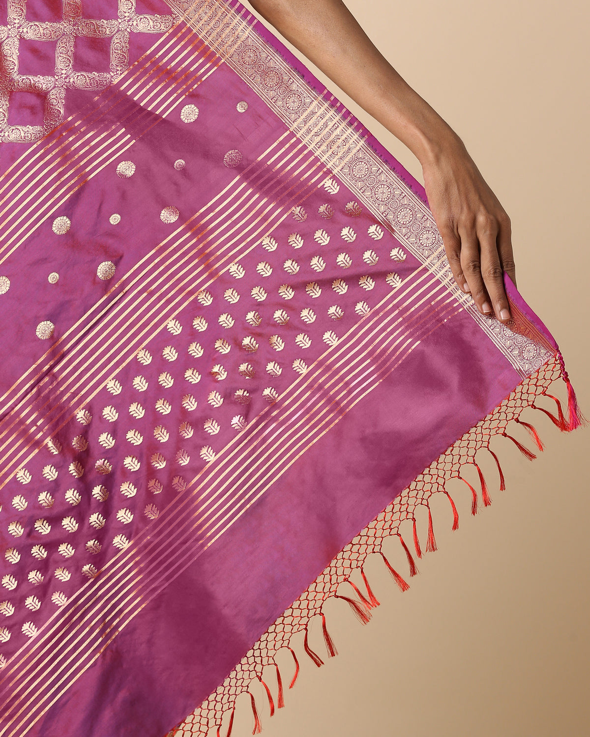 Hilda Banarasi Cutwork Silk Saree