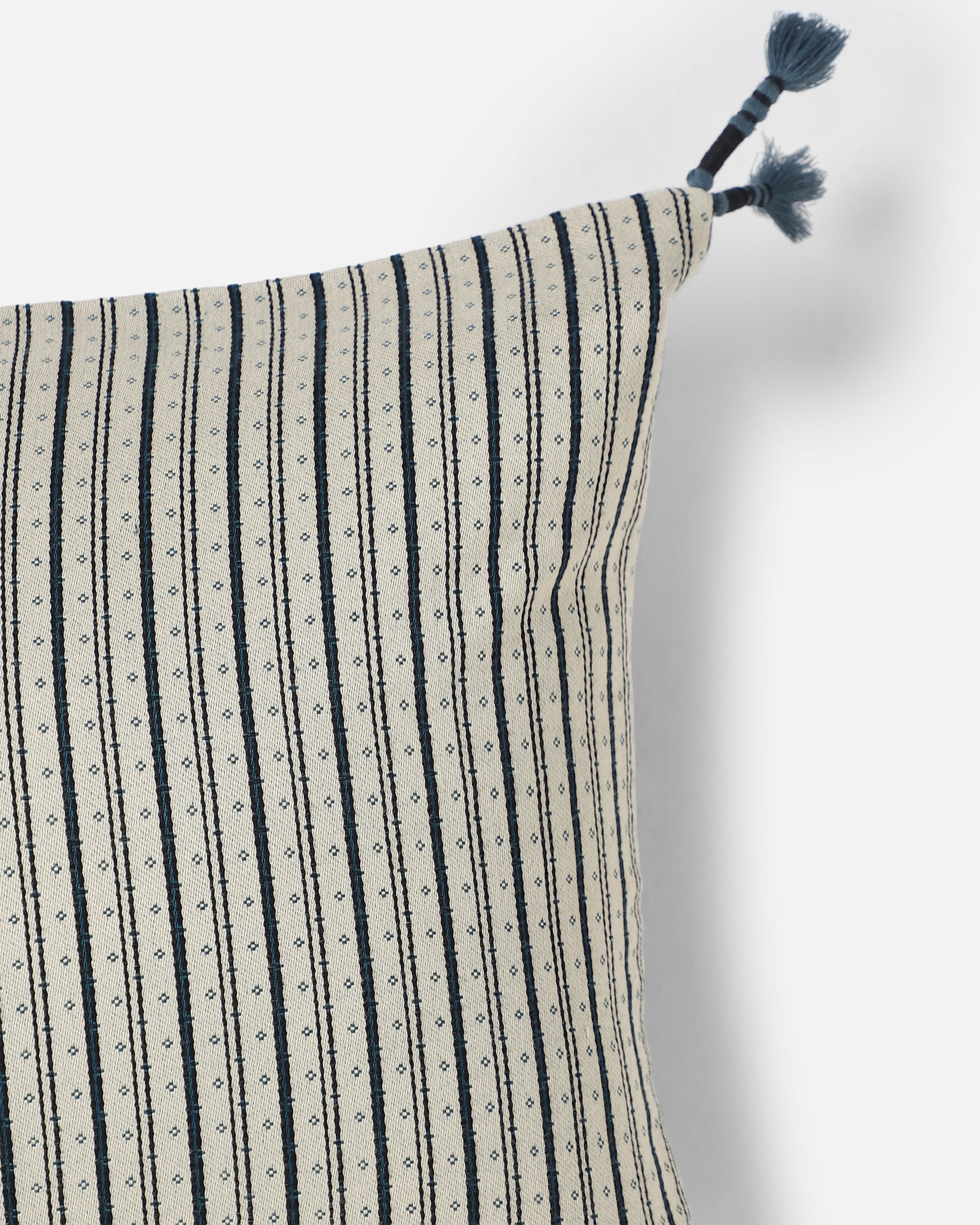Zenya Bhuj Mashru Viscose Cotton Cushion Cover