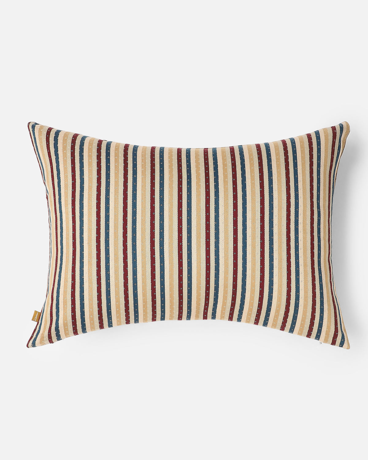 Alvaro Banarasi Tanchoi Silk Cotton Cushion Cover