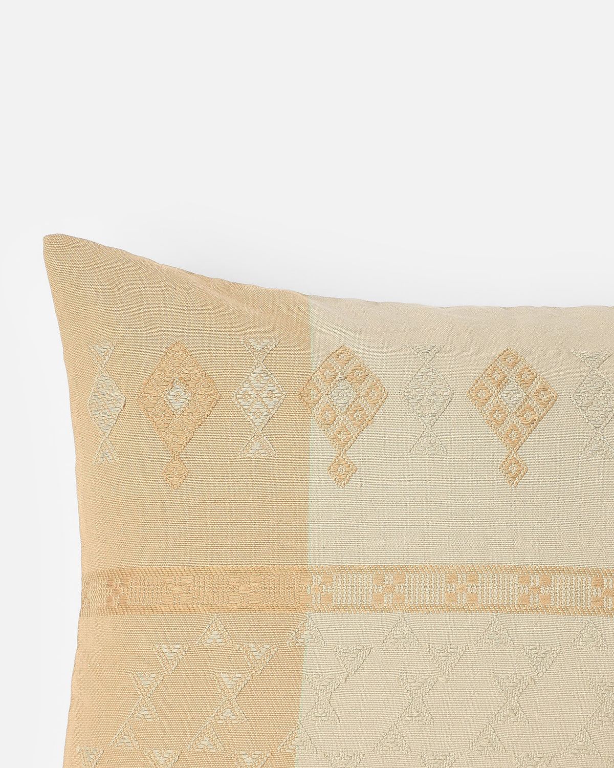 Sandalia Bhujodi Extra Weft Cotton Cushion Cover