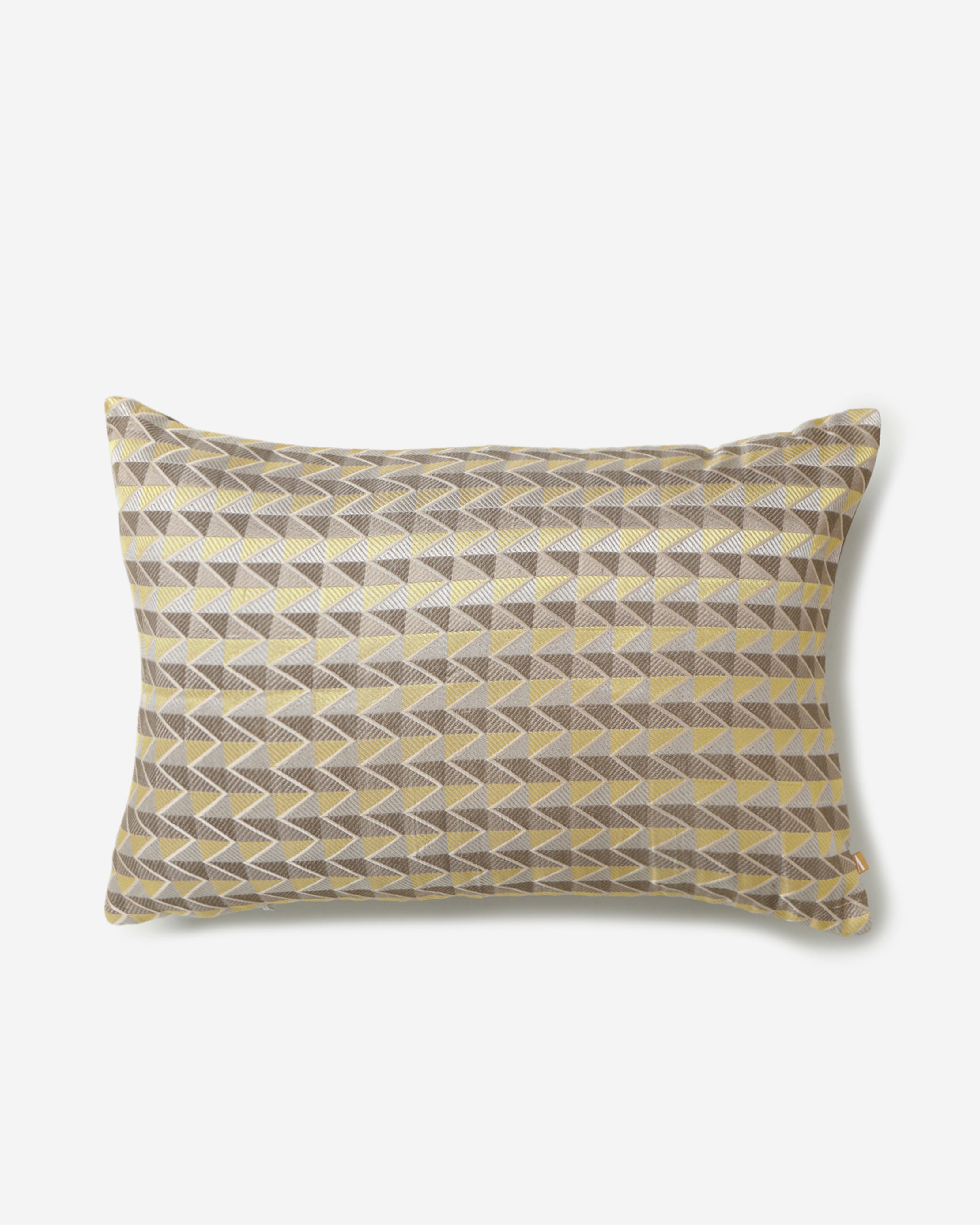 Trick Satin Brocade Silk Cotton Cushion Cover