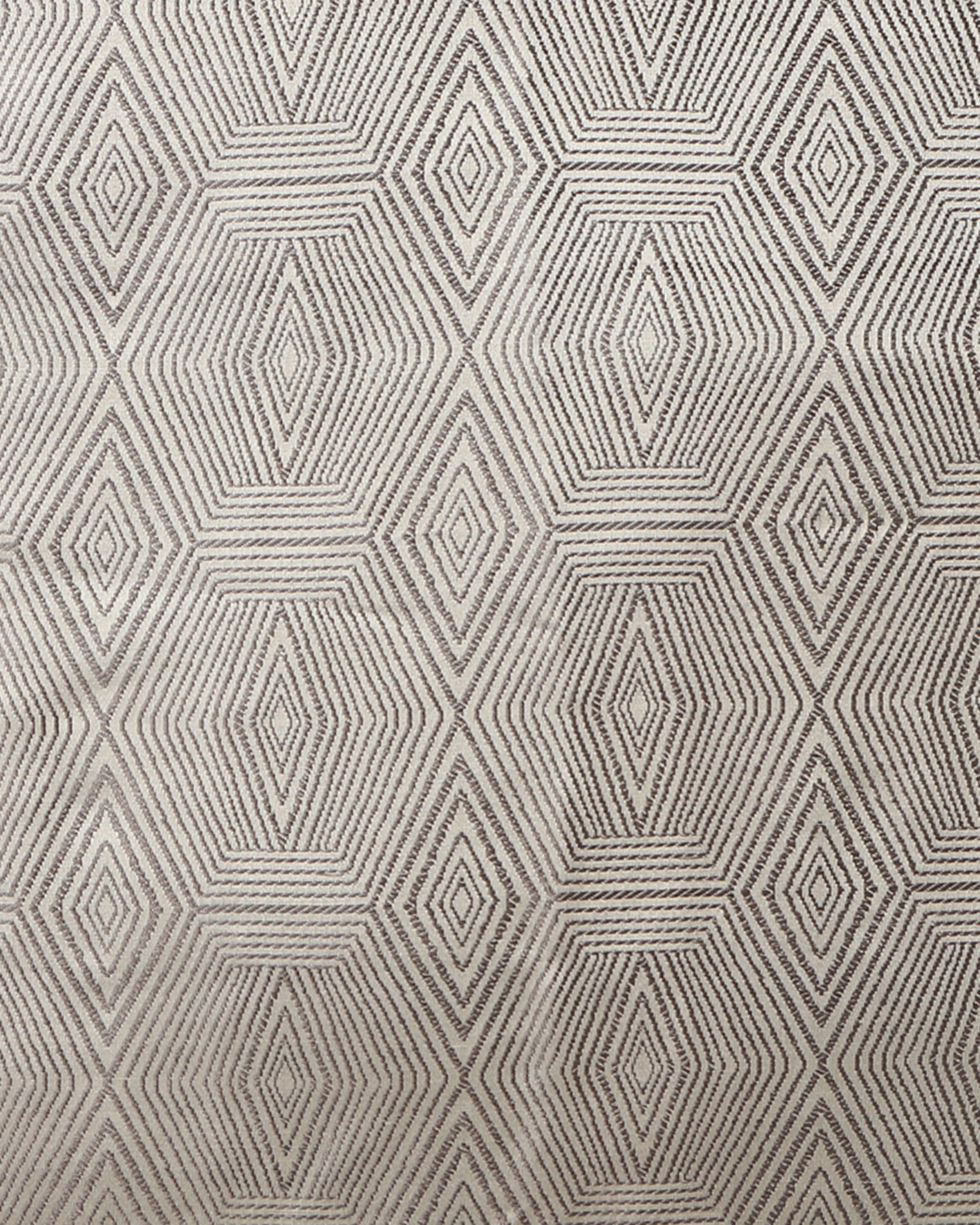 Hexa Banarasi Tanchoi Silk Cushion Cover