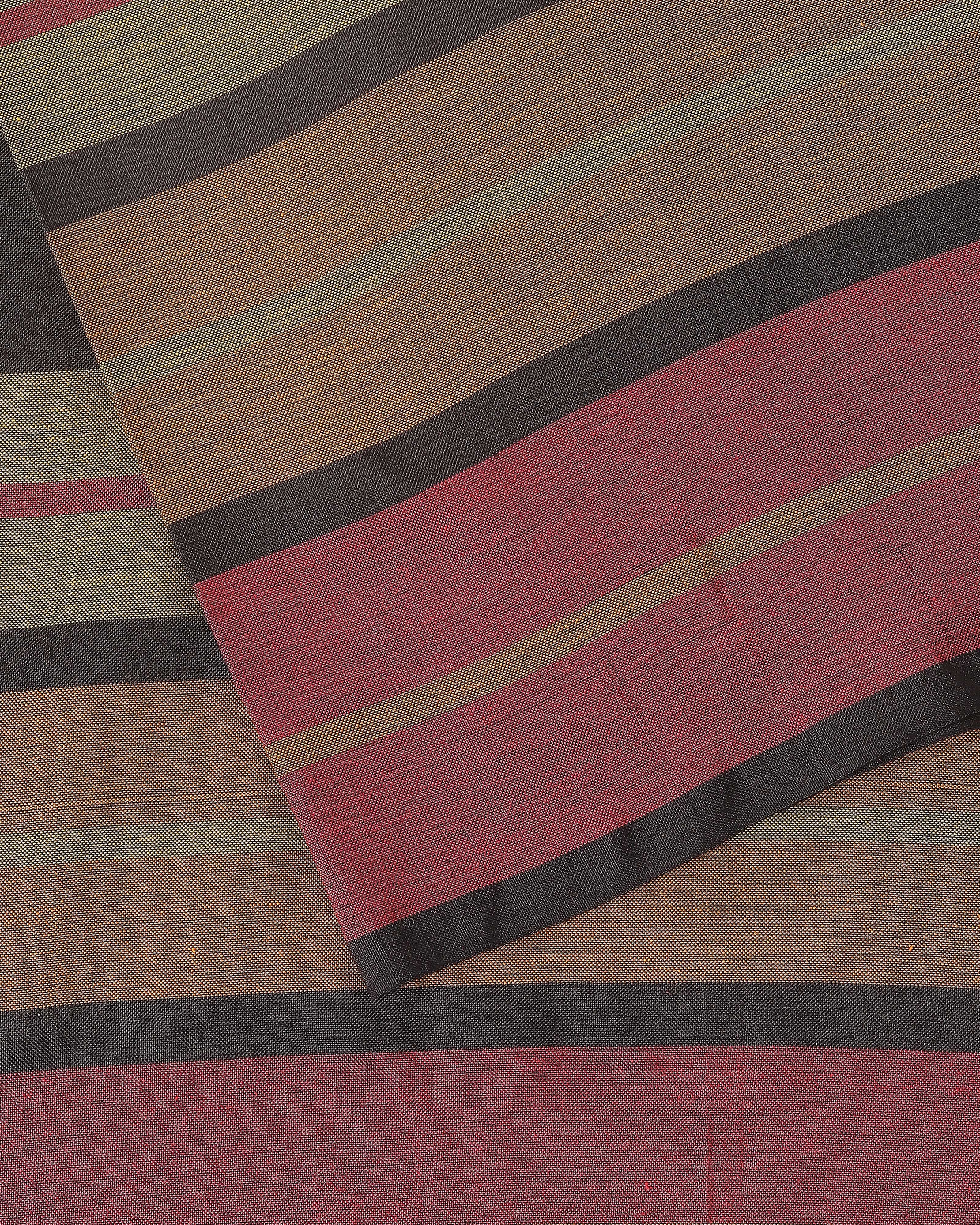 Kalei Bhujodi Extra Weft Cotton Silk Saree