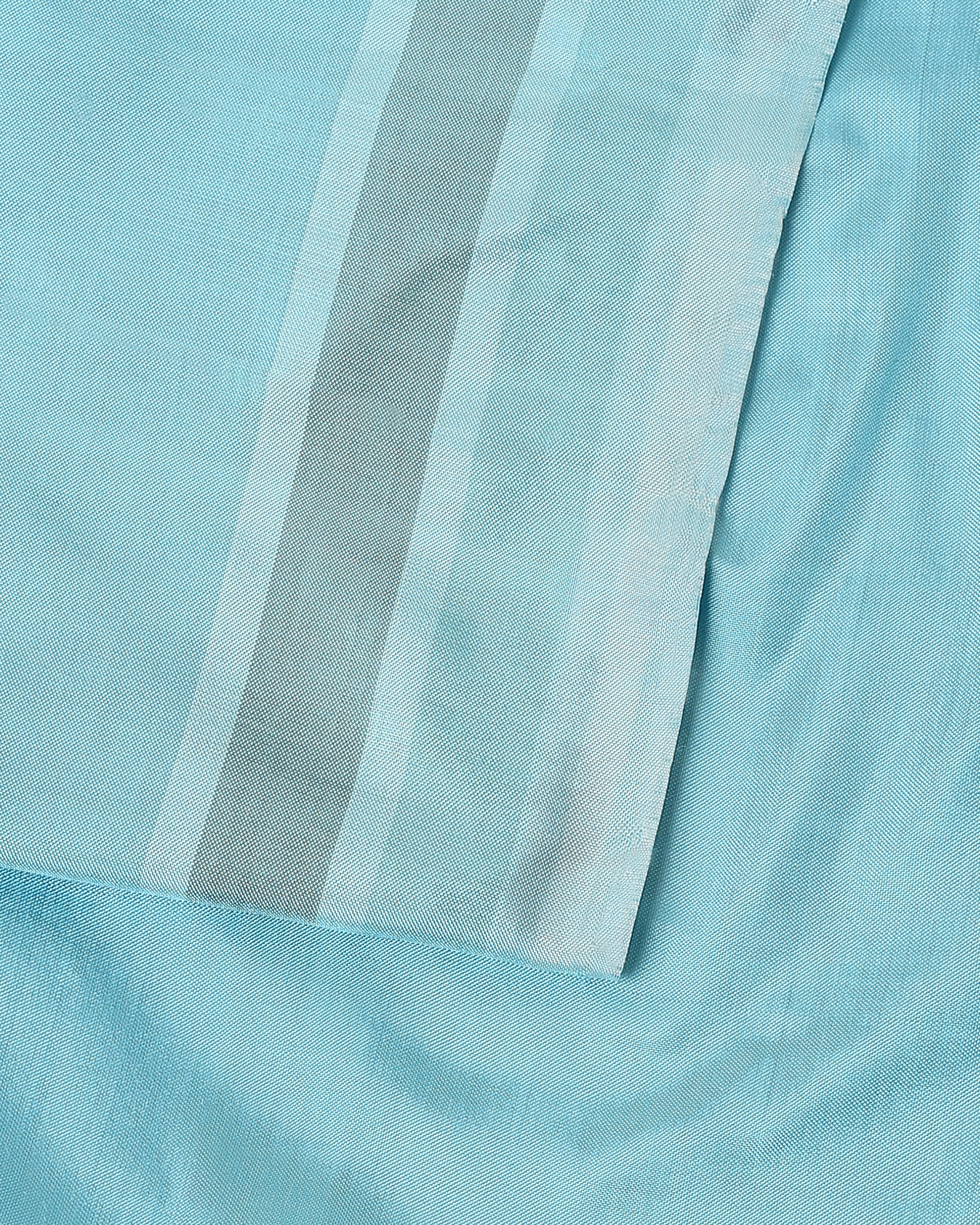 Shriwa Pochampally Warp Ikat Silk Saree