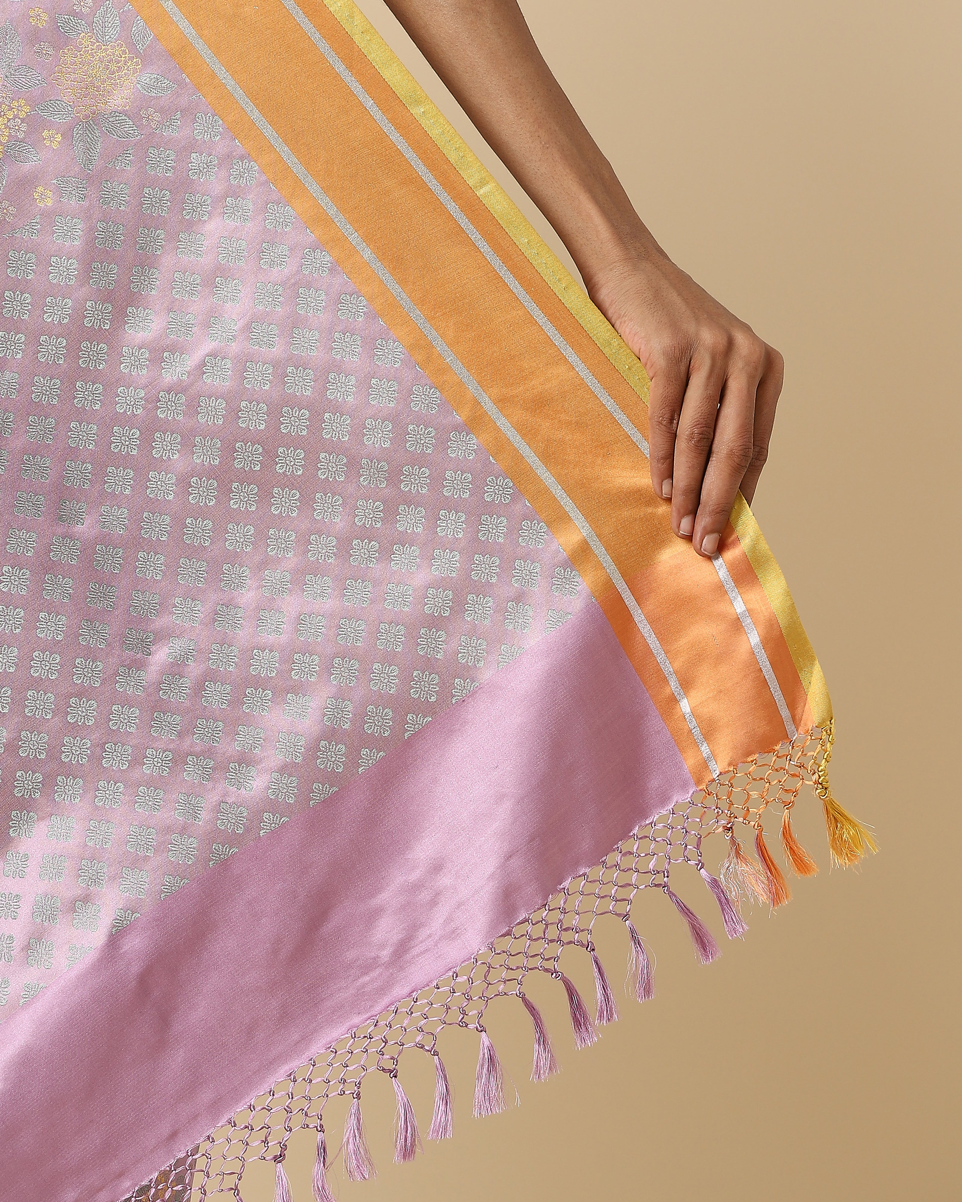 Ganikaa Tanchoi Silk Saree