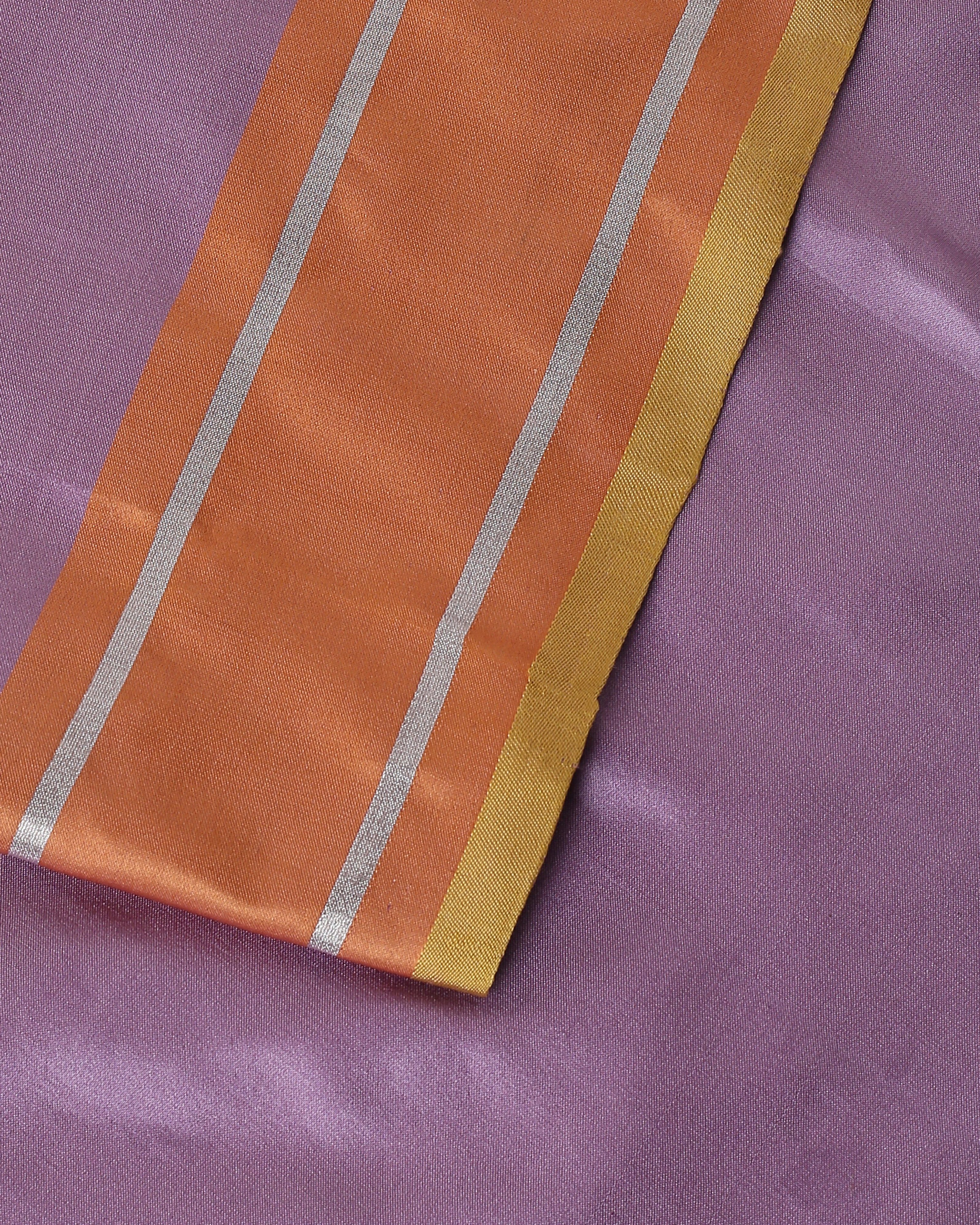 Ganikaa Tanchoi Silk Saree