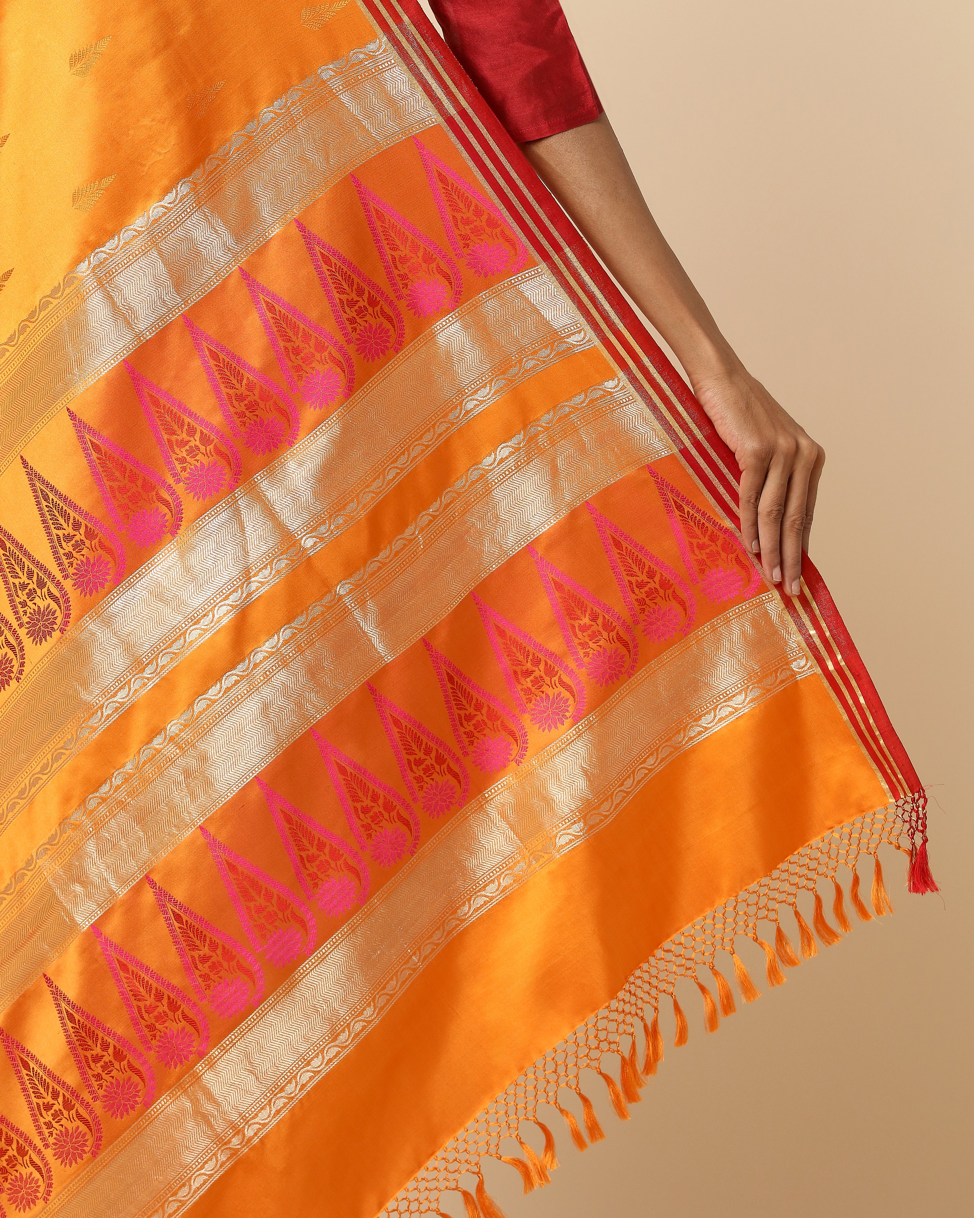 Saisha Tanchoi Silk Saree