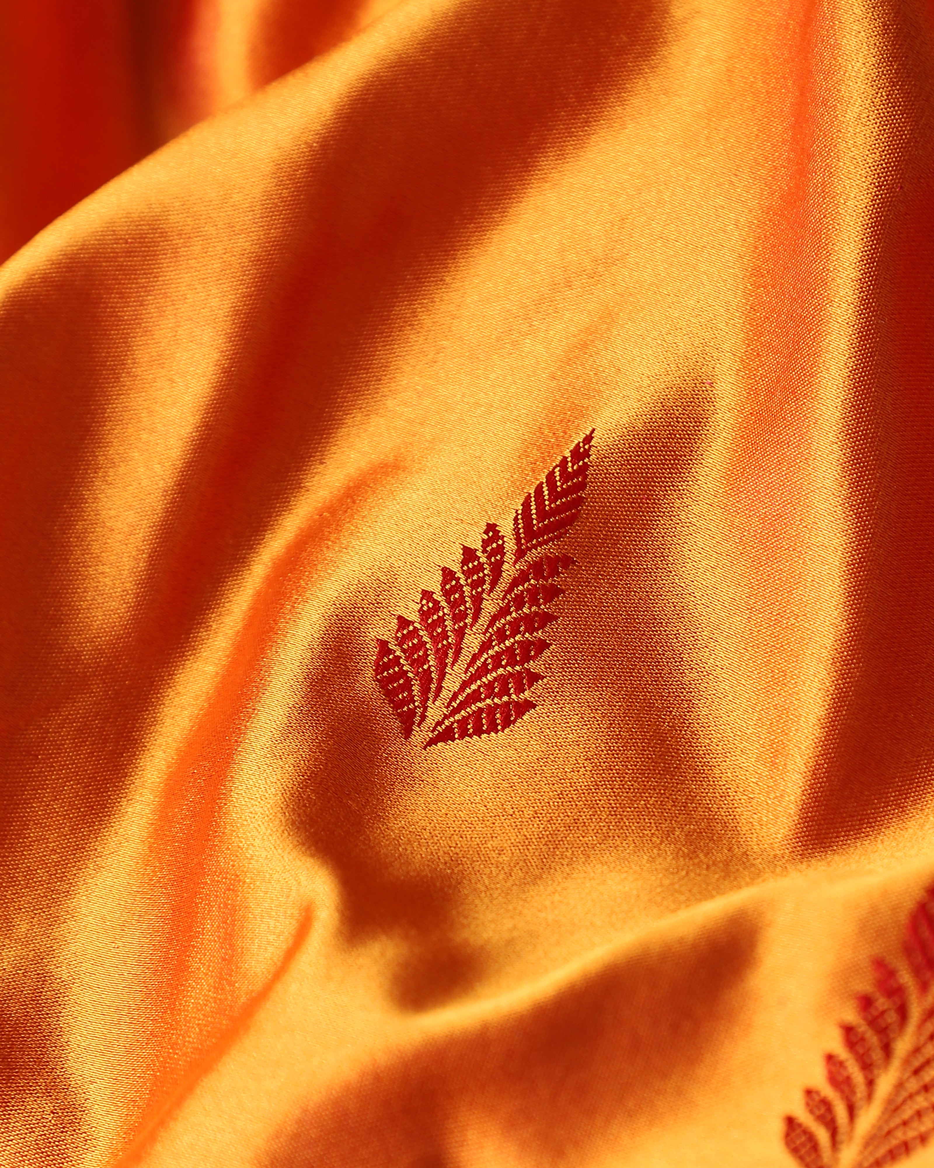 Saisha Tanchoi Silk Saree