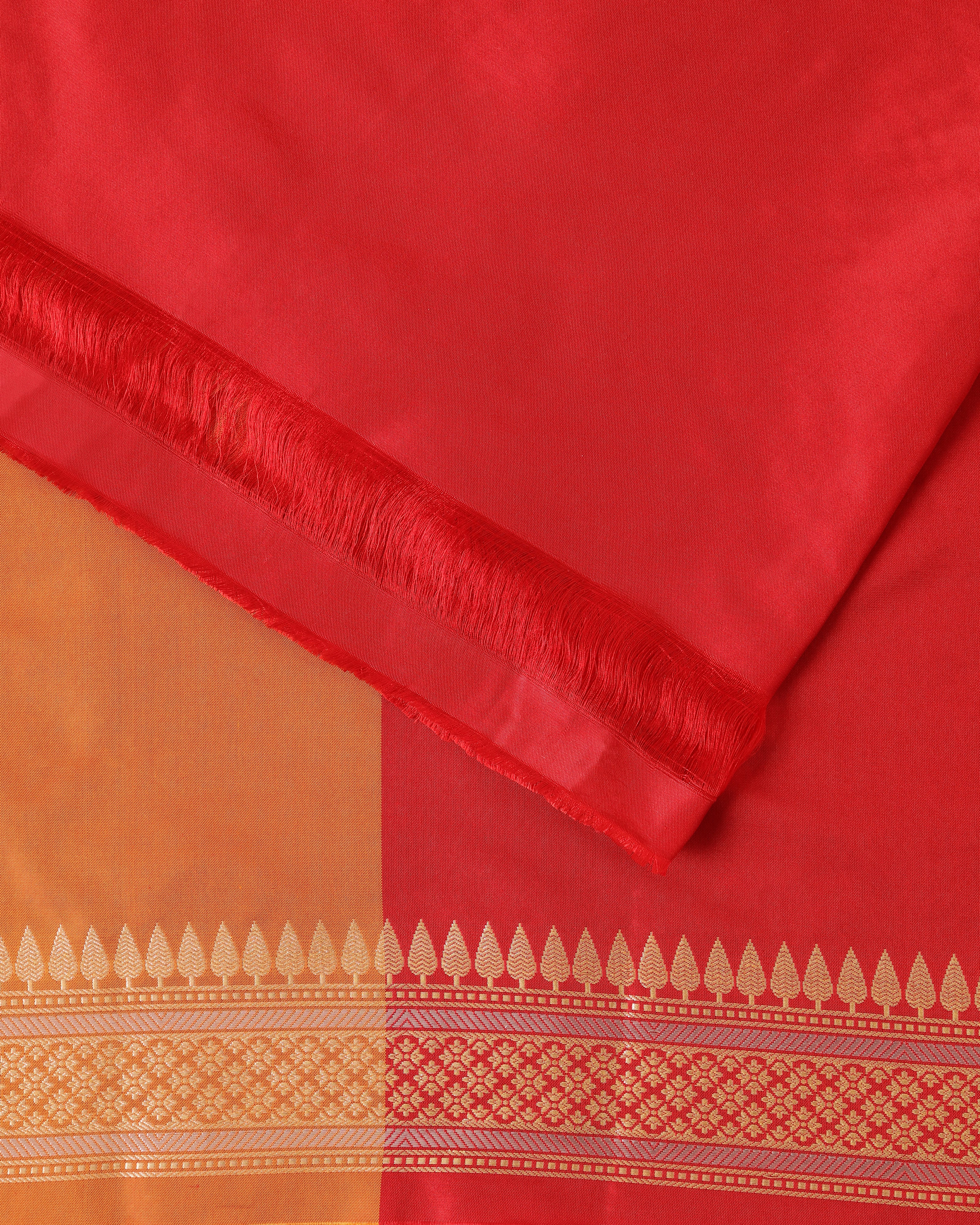 Artha Tanchoi Silk Saree