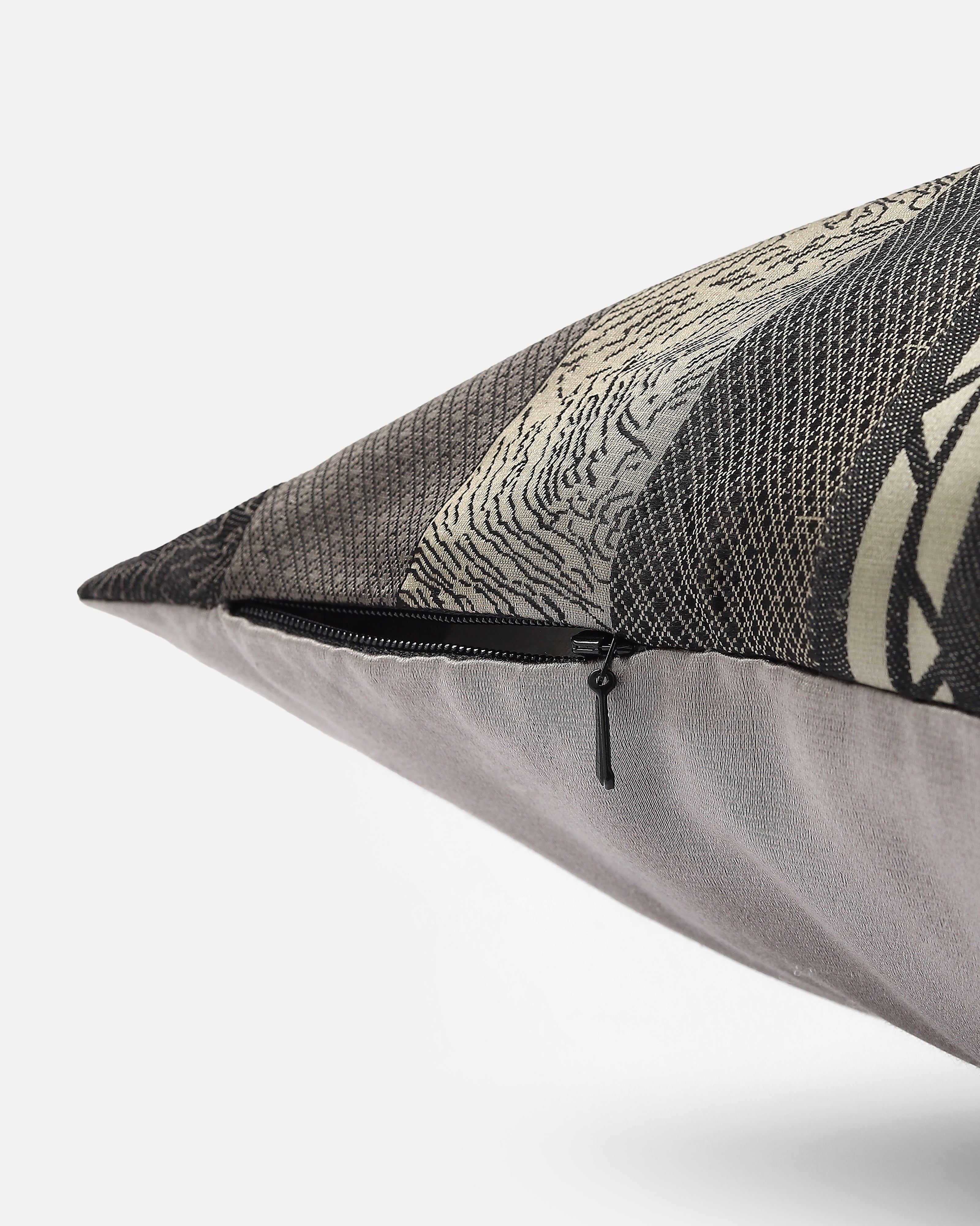 Baryte Banarasi Tanchoi Silk Cushion Cover