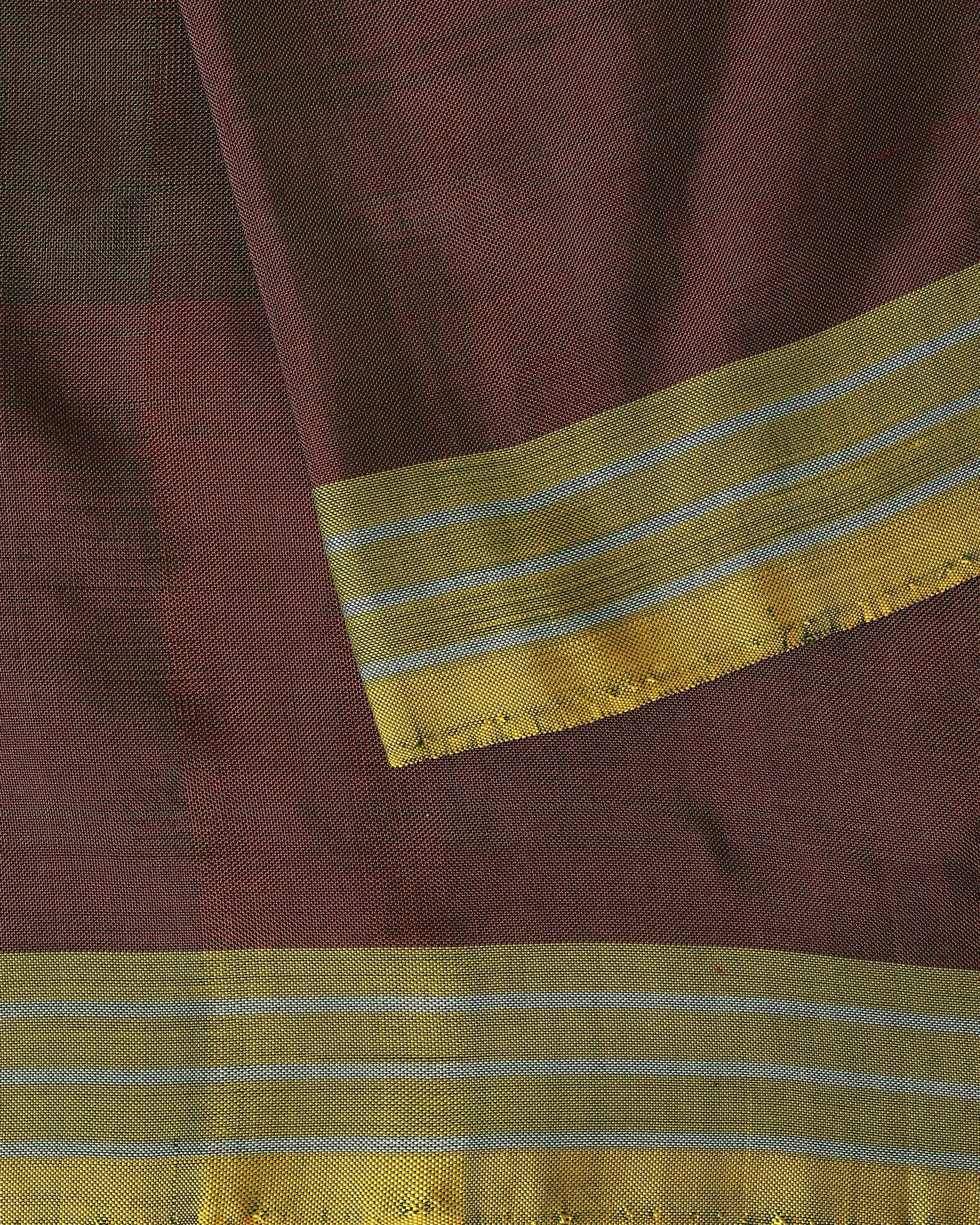 Rahi Pochampally Weft Ikat Silk Saree