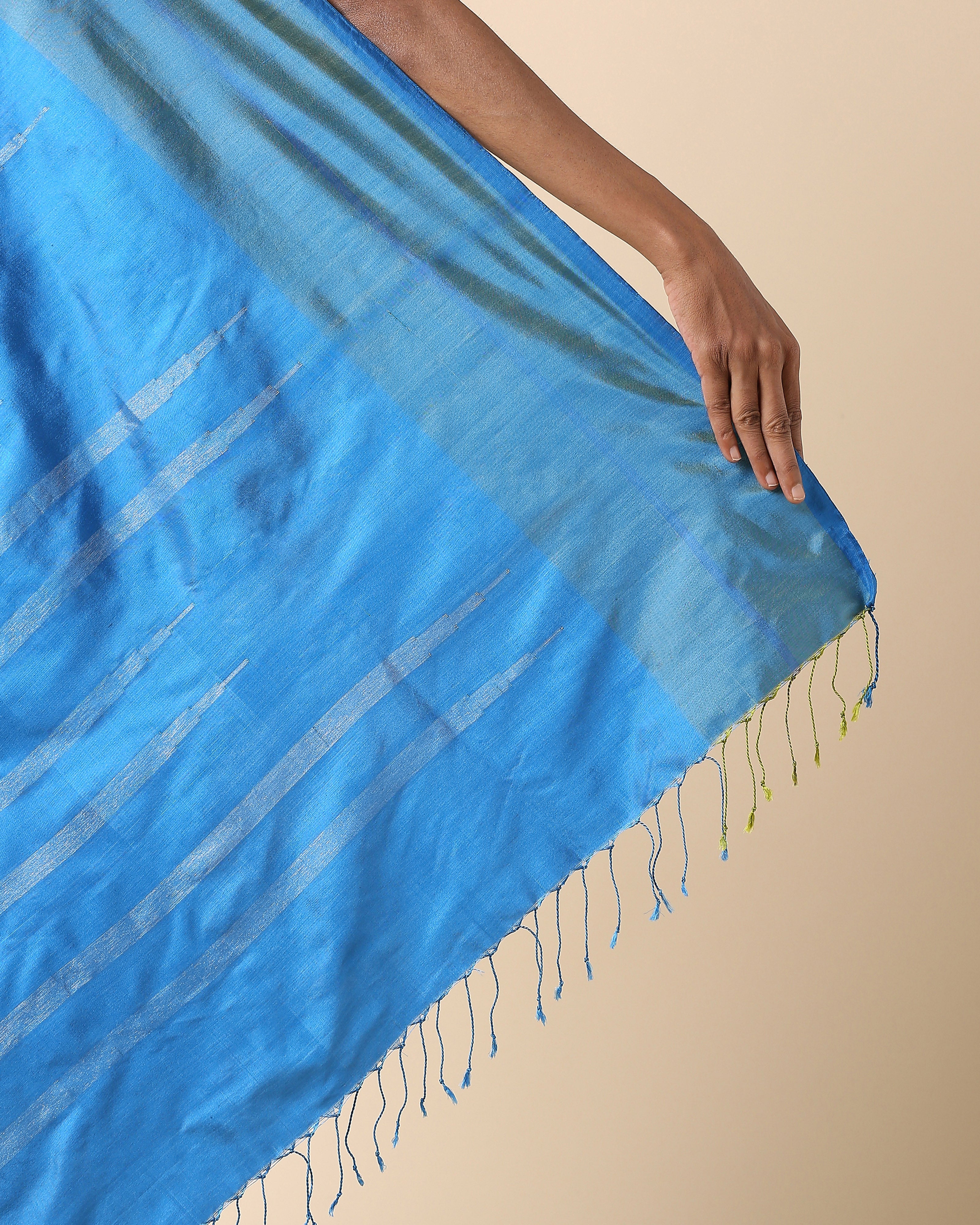 Marwa Pochampally Double Ikat Silk Saree