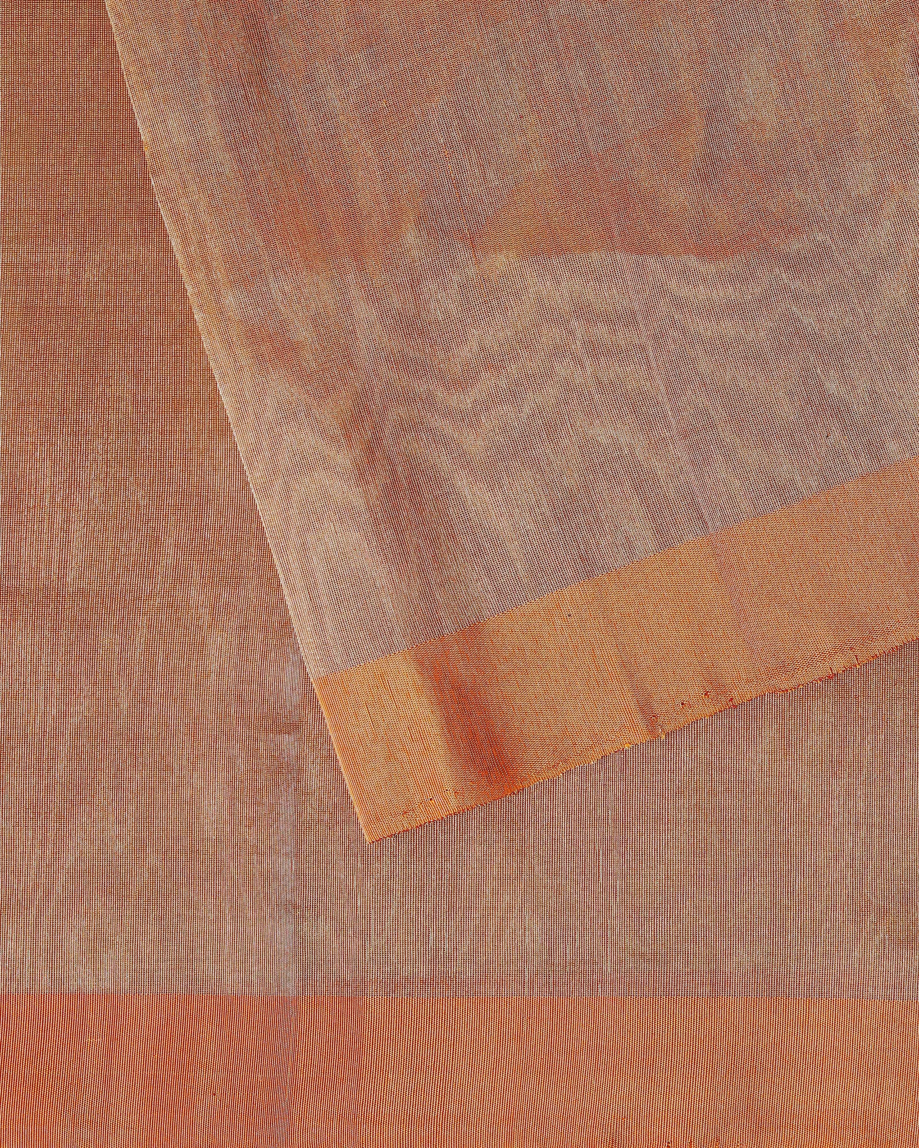 Esme Banarasi Fekwa Silk Cotton Saree