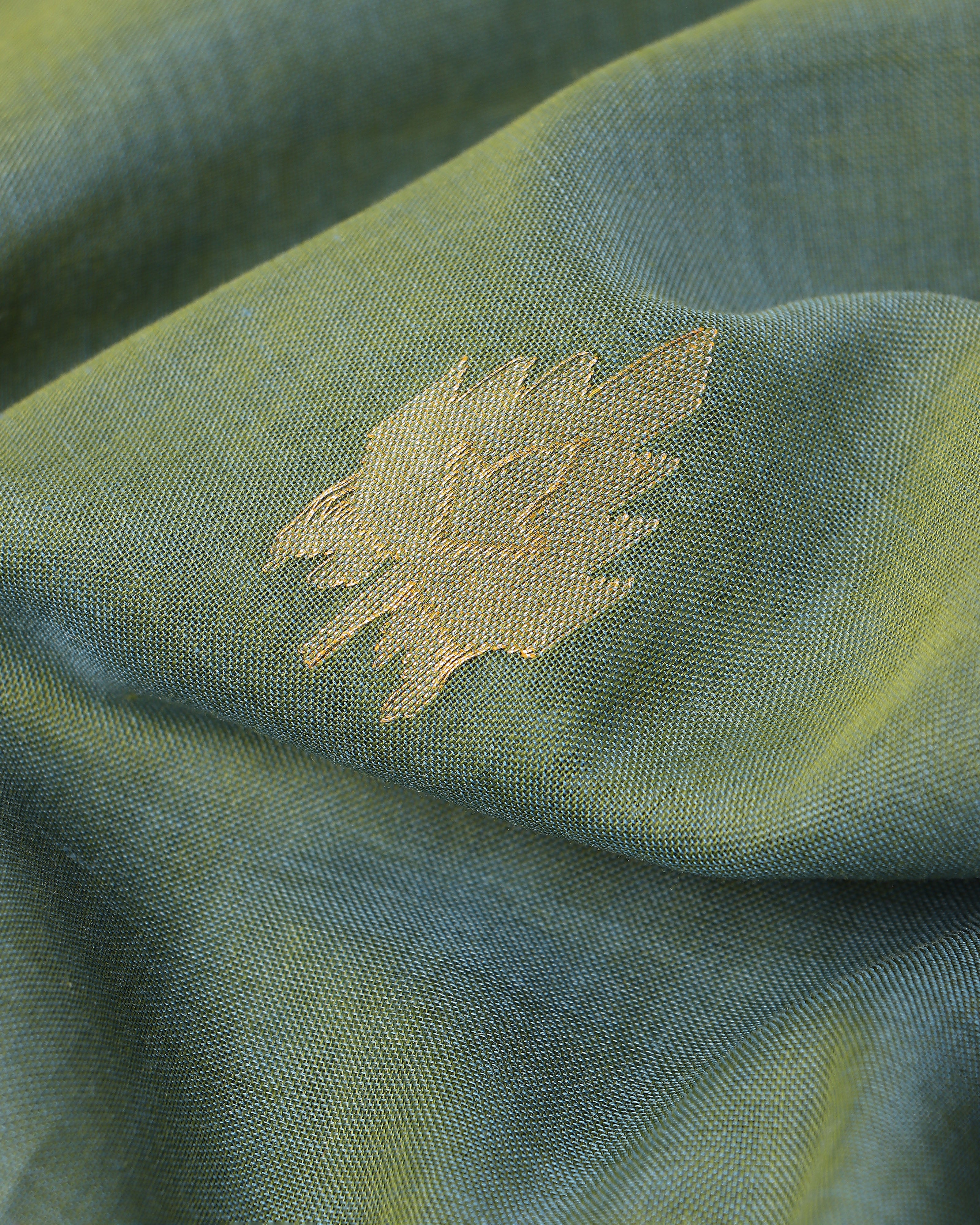 Yashita Banarasi Kadwa Cotton Saree