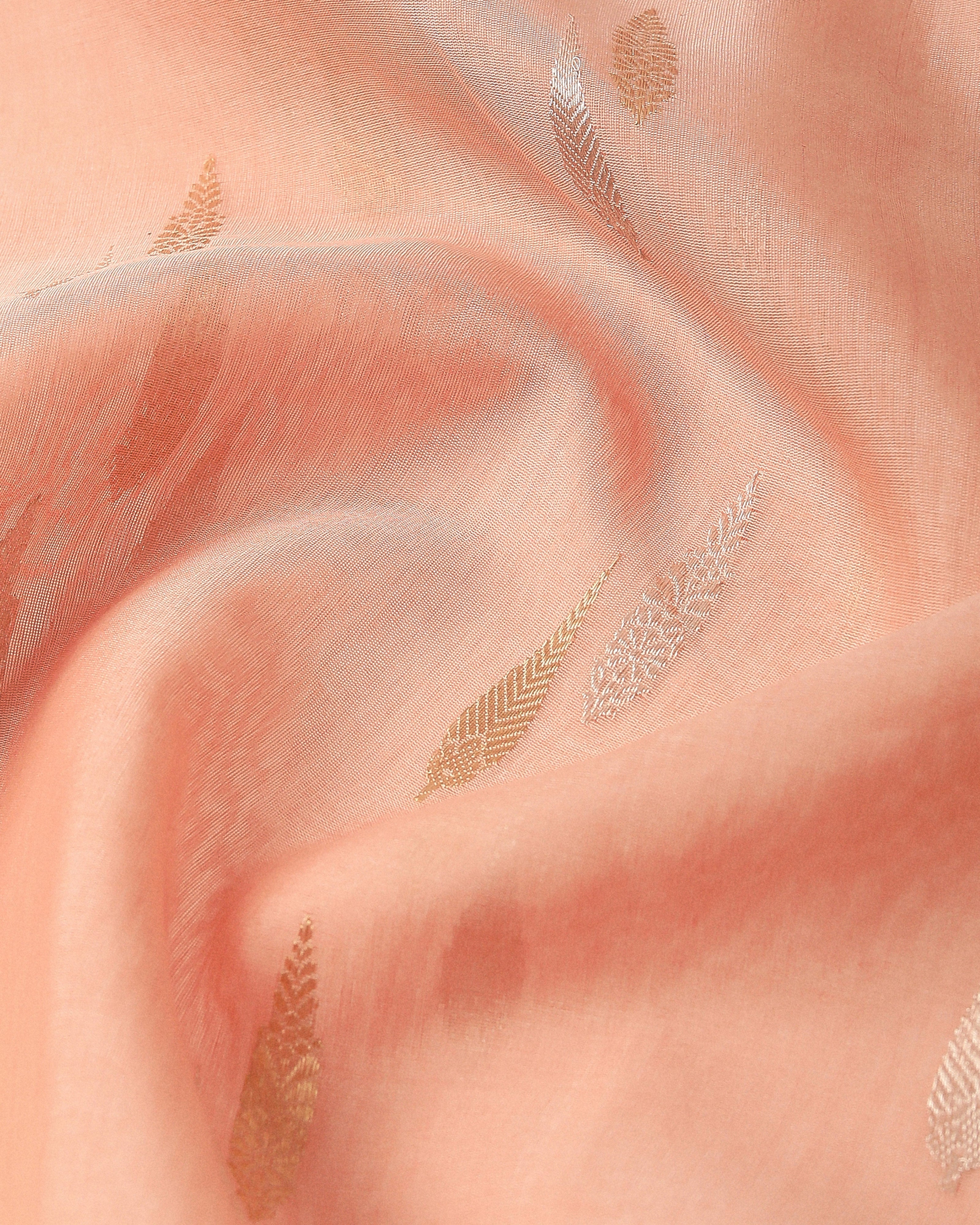 Avantika Banarasi Kadwa Silk Cotton Saree