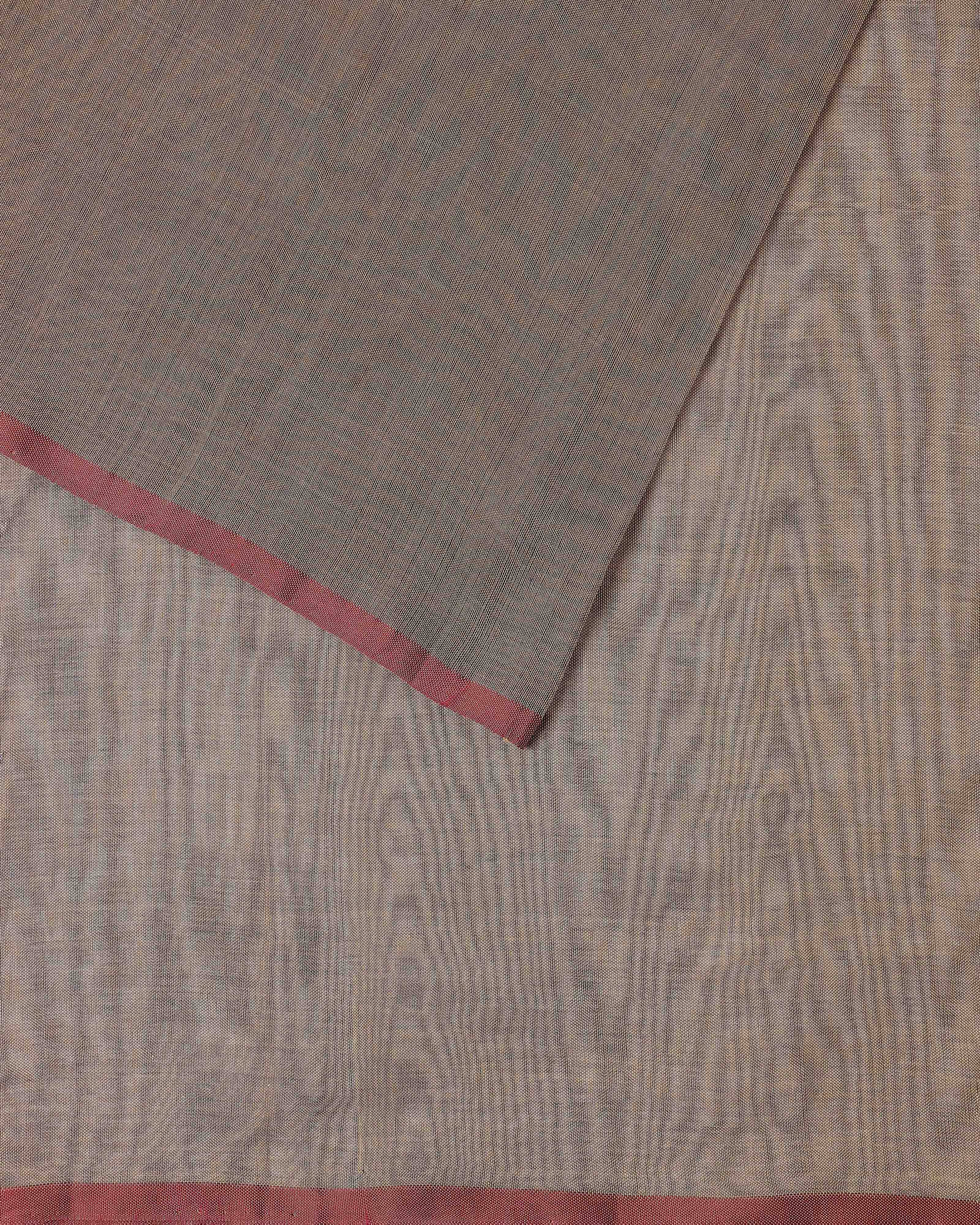 Giavana Banarasi Jamdani Cotton Saree