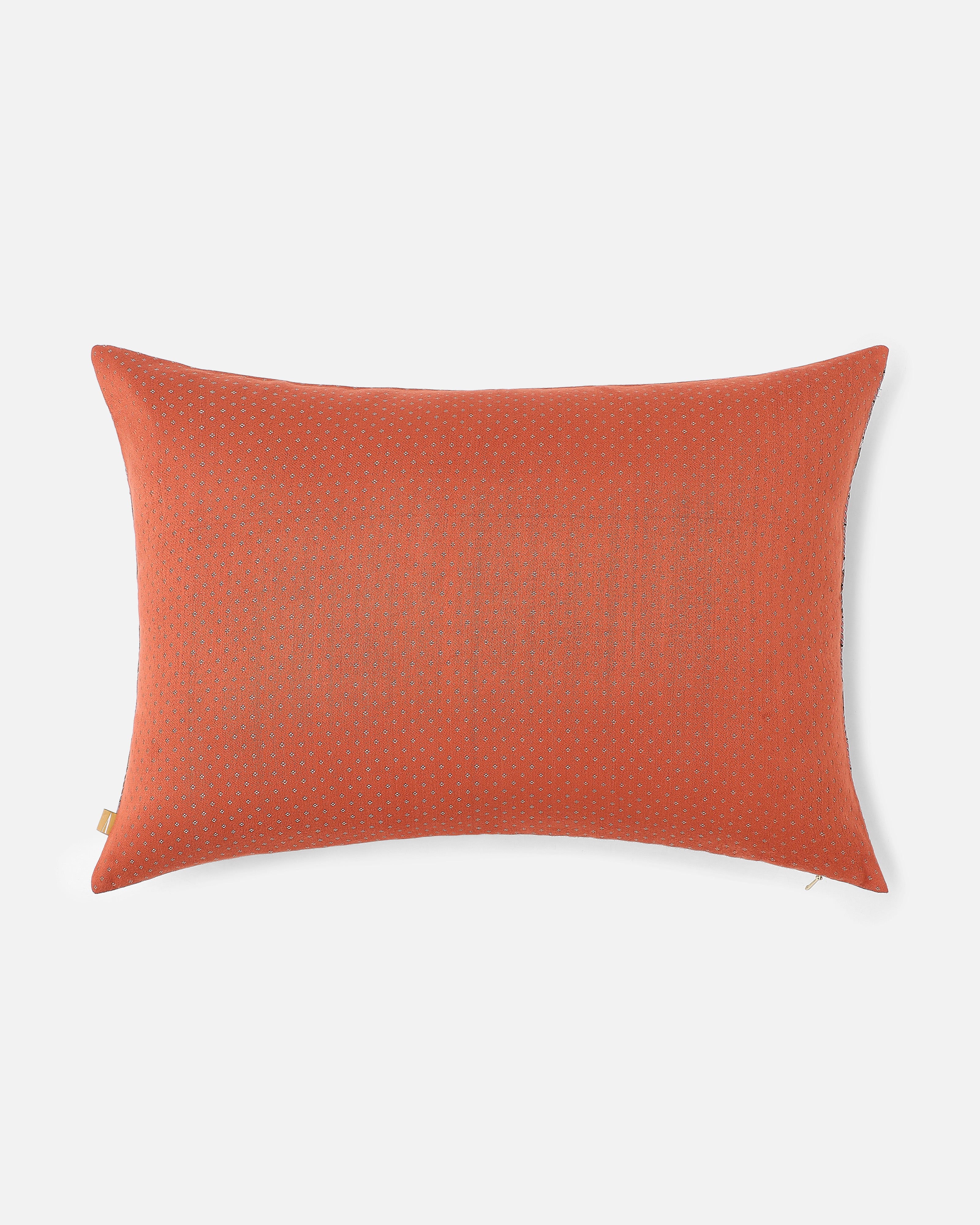 Sayani Banarasi Gyasar Silk Cotton Cushion Cover