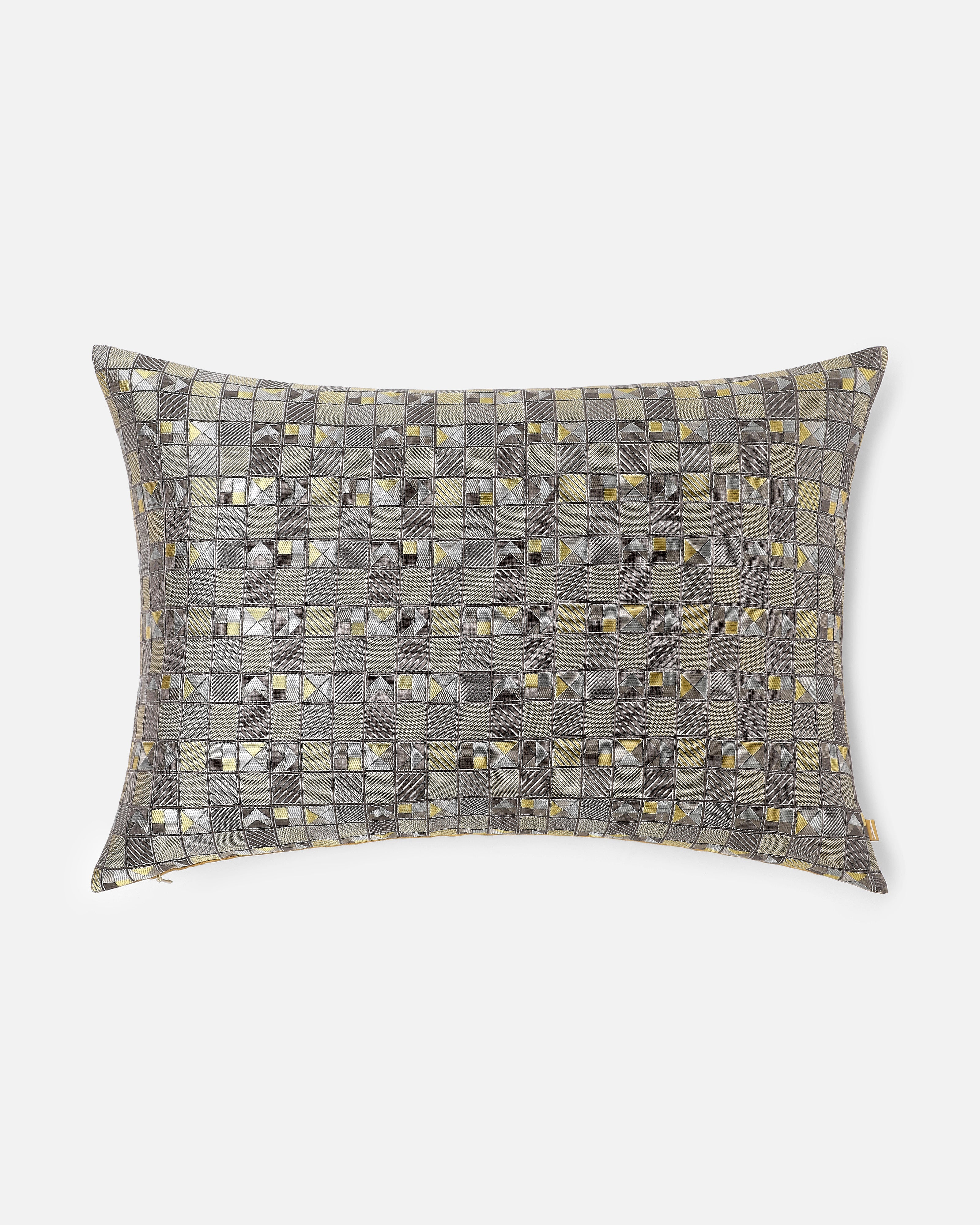 Sayani Banarasi Gyasar Silk Cotton Cushion Cover